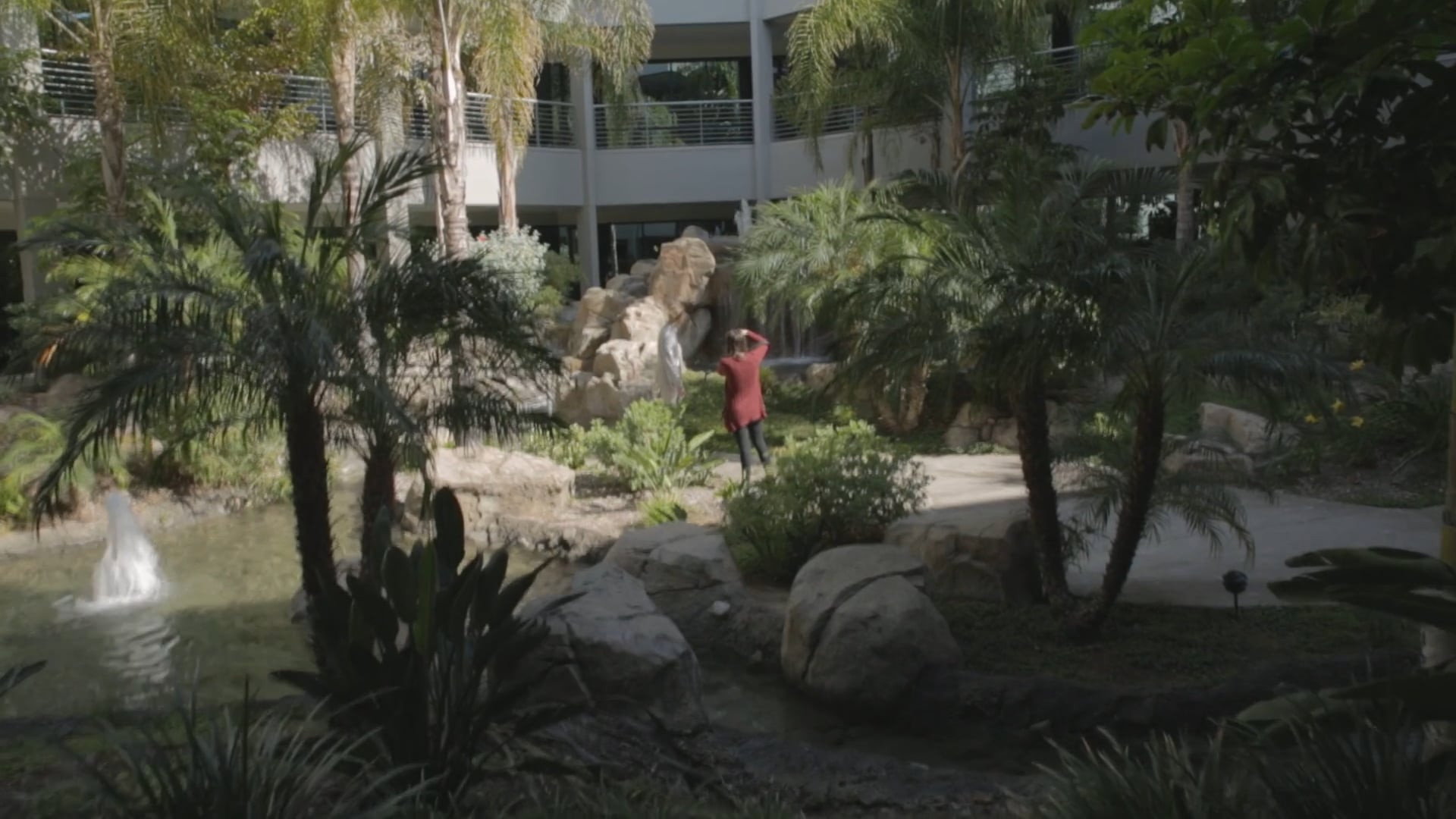 Director