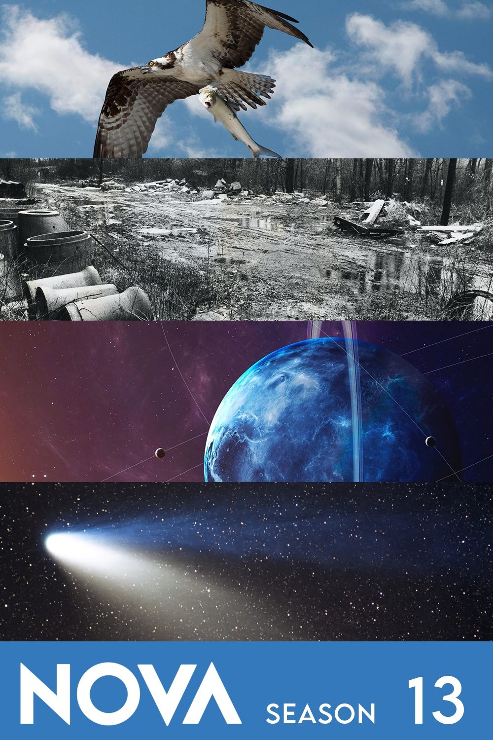 Poster de Temporada 13