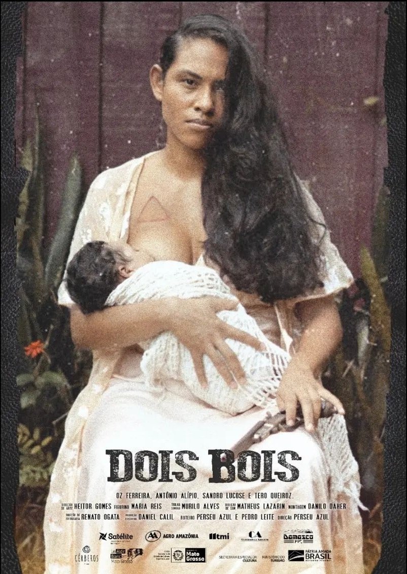 Poster de Dois Bois