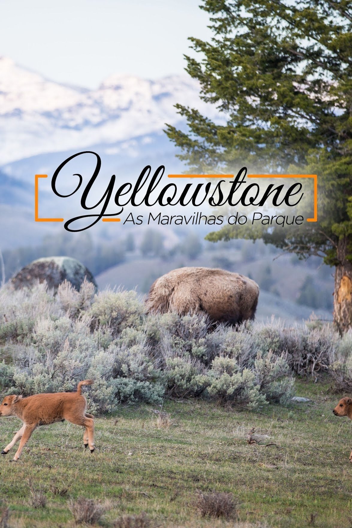 Poster de Yellowstone - As Maravilhas do Parque