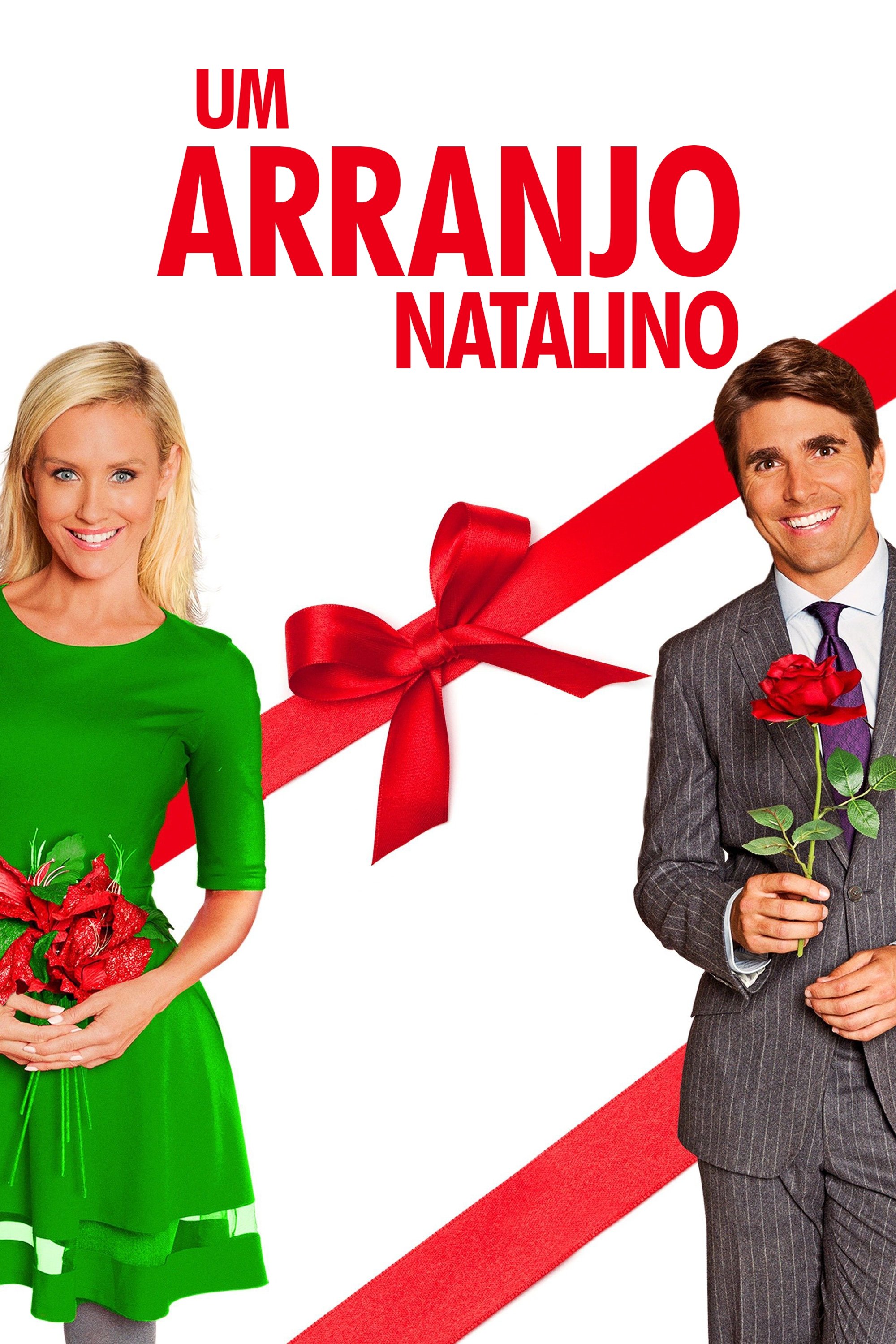 Poster de Um Arranjo Natalino