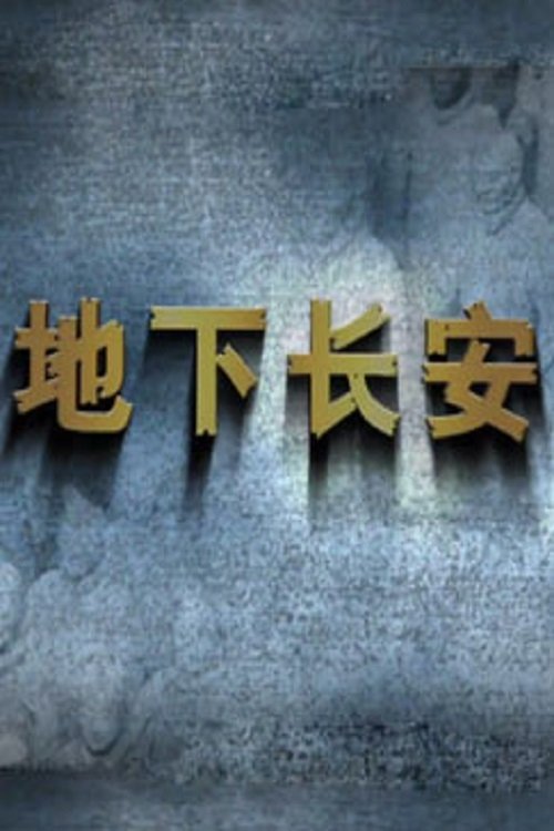 Poster de Temporada 306