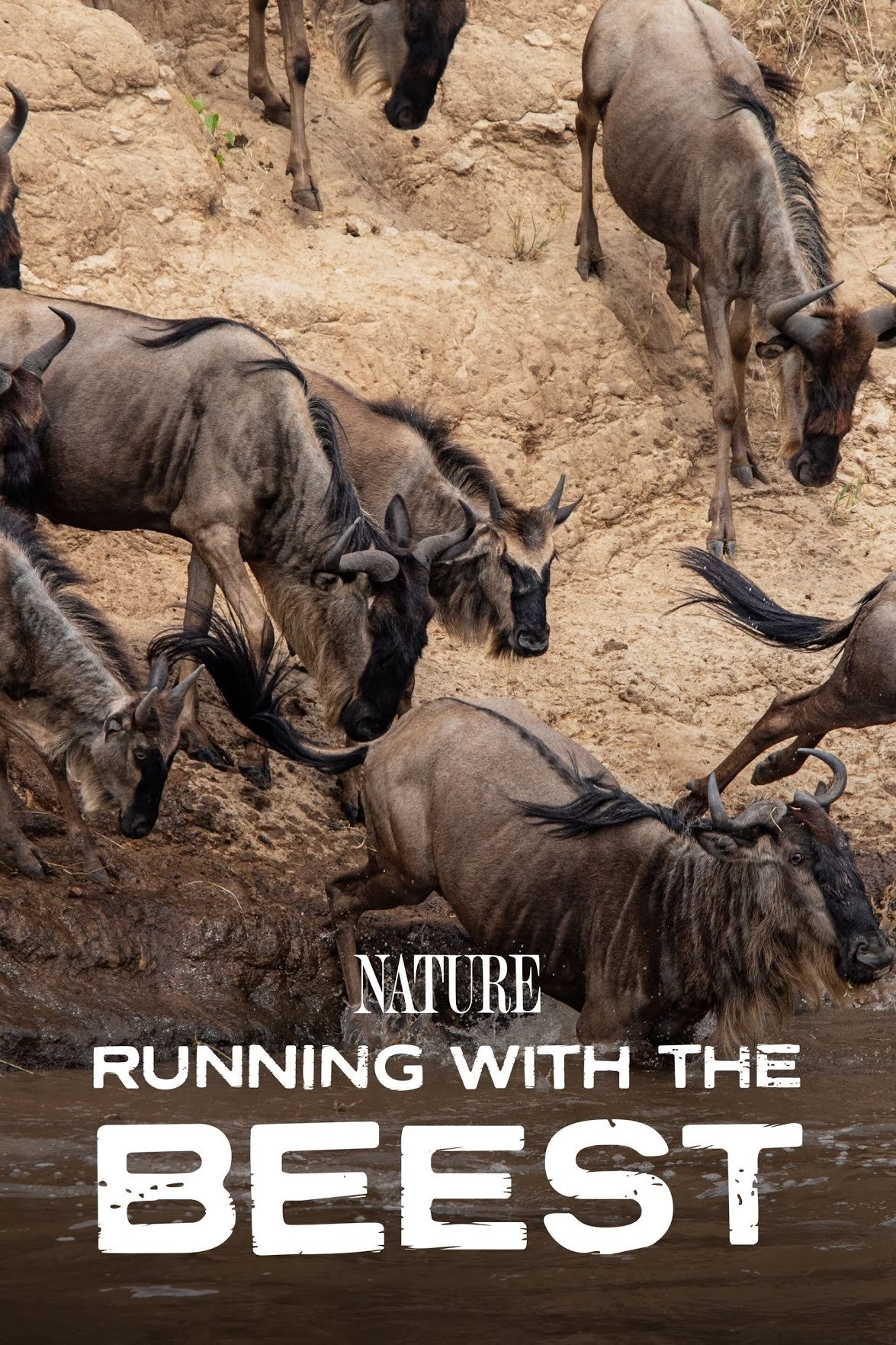Poster de Running With The Beest