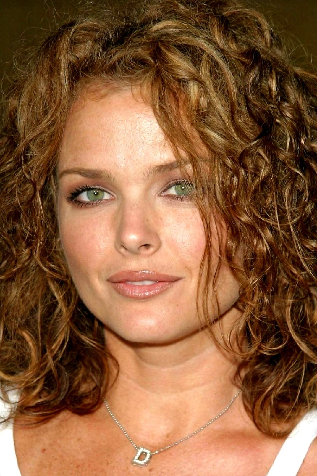 Foto de Dina Meyer