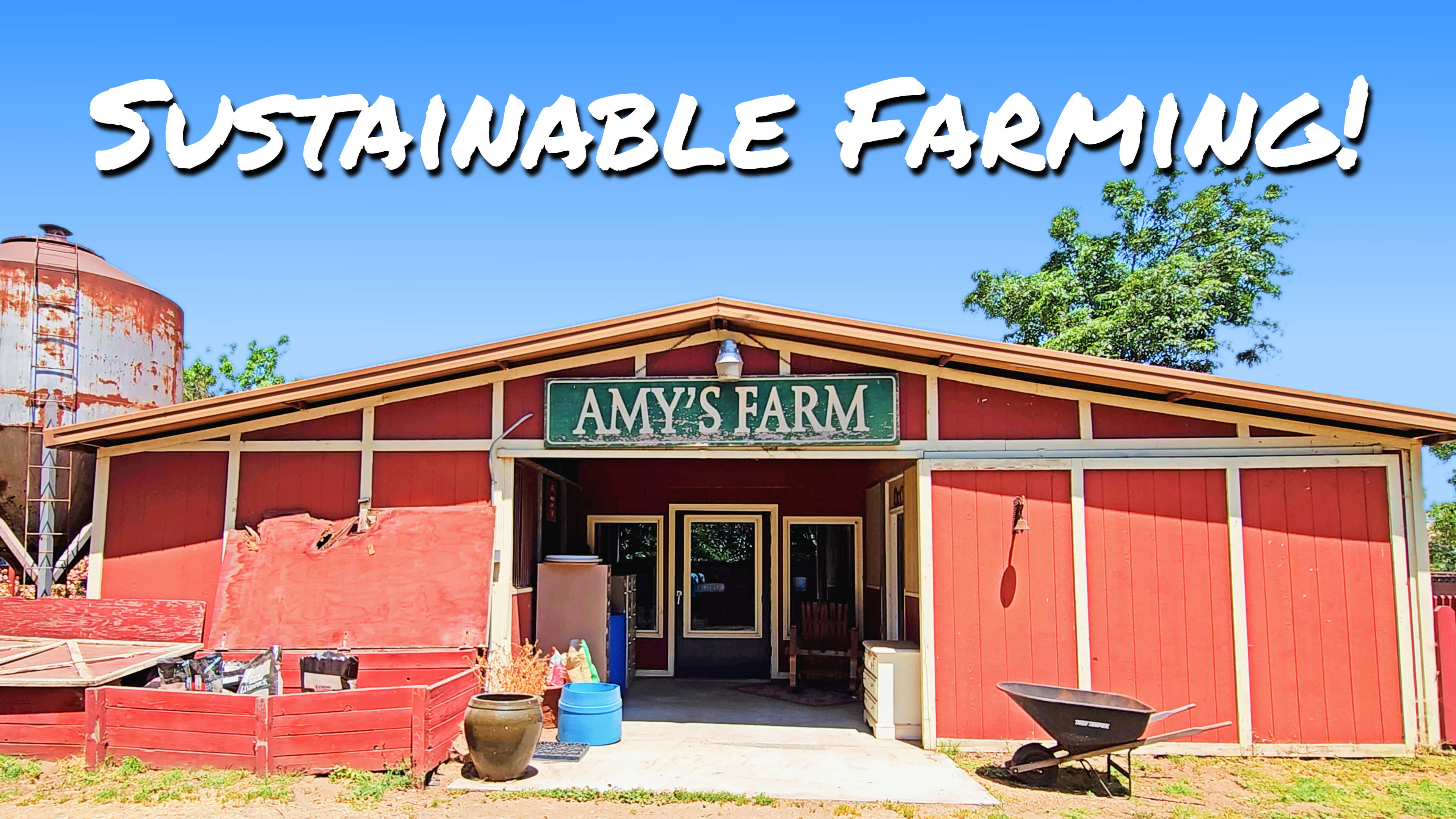 Sustainable Farming at Amy's Farm