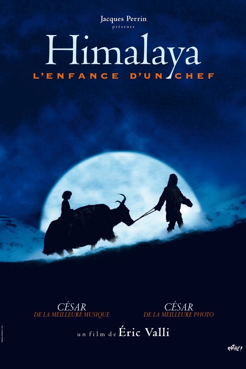 Affiche du film Himalaya - l'enfance d'un chef