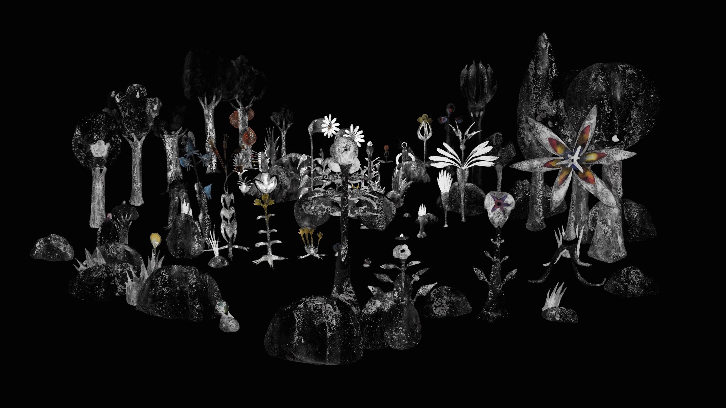 Backdrop