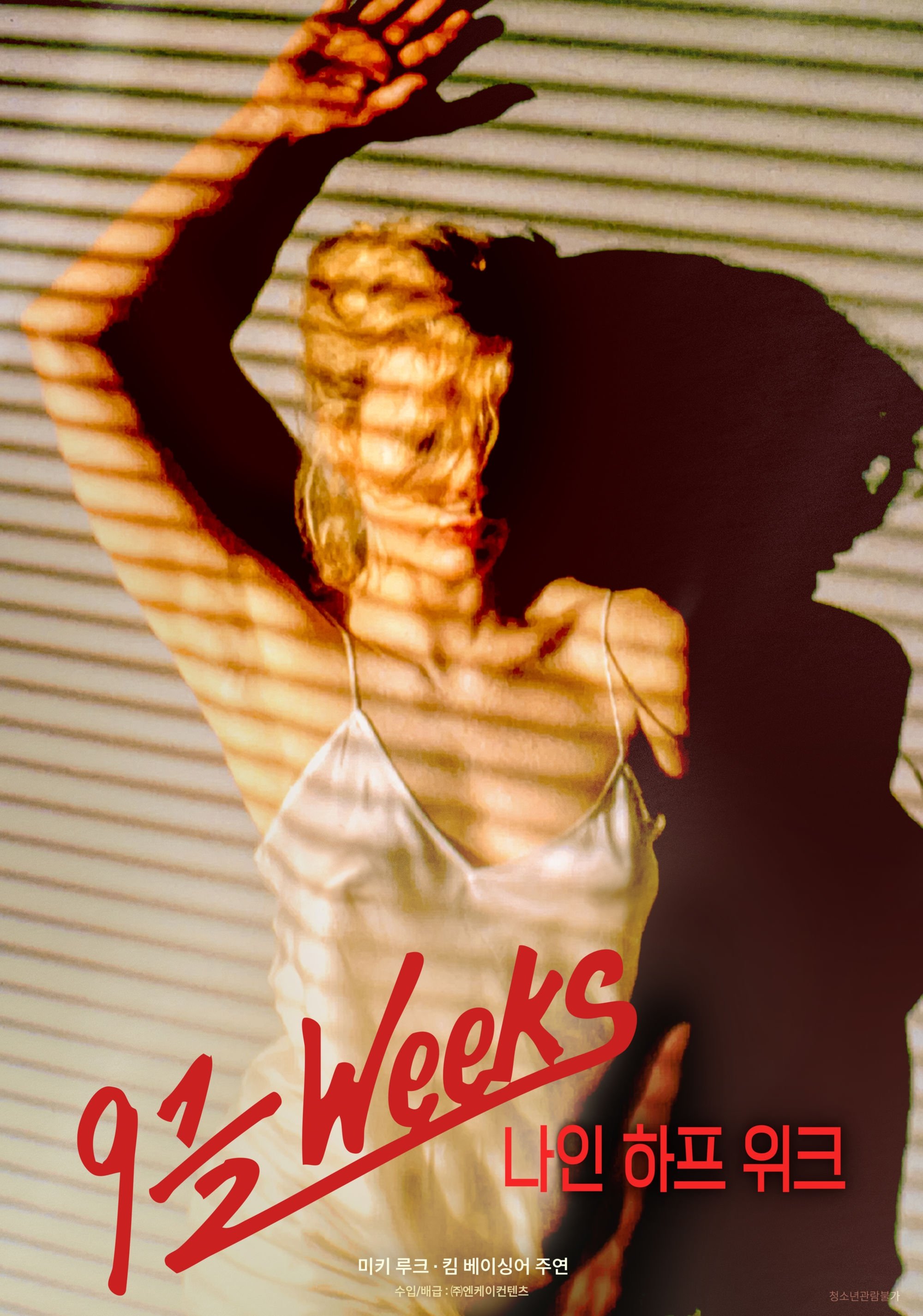 나인 하프 위크