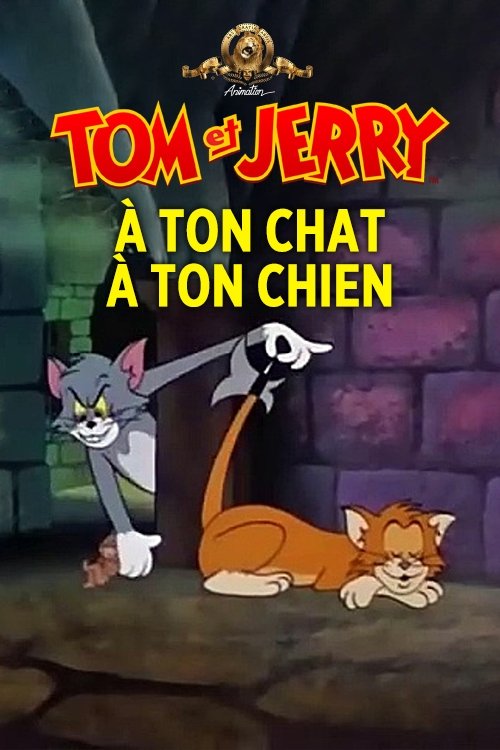 À ton chat à ton chien
