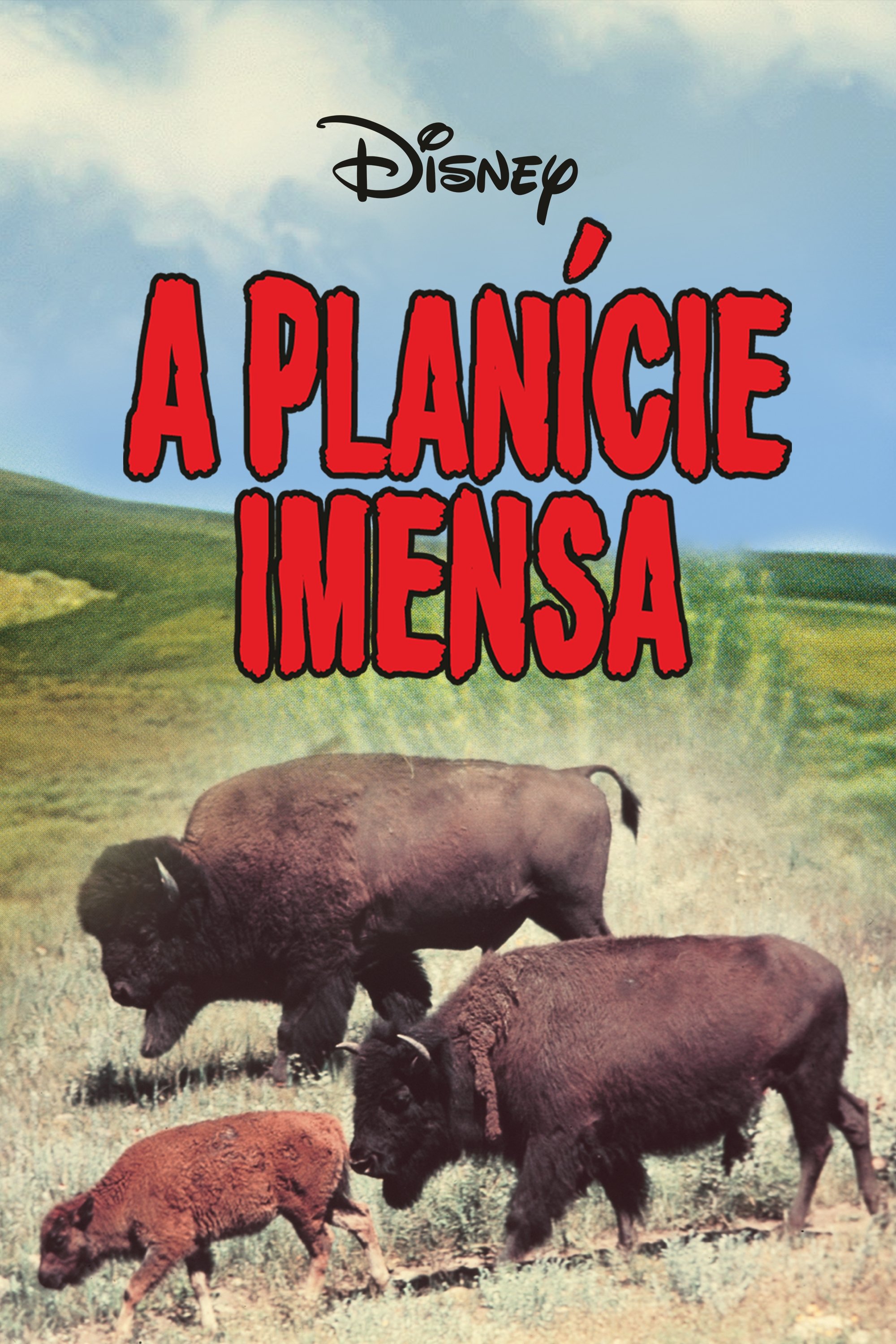 Poster de A Planície Imensa