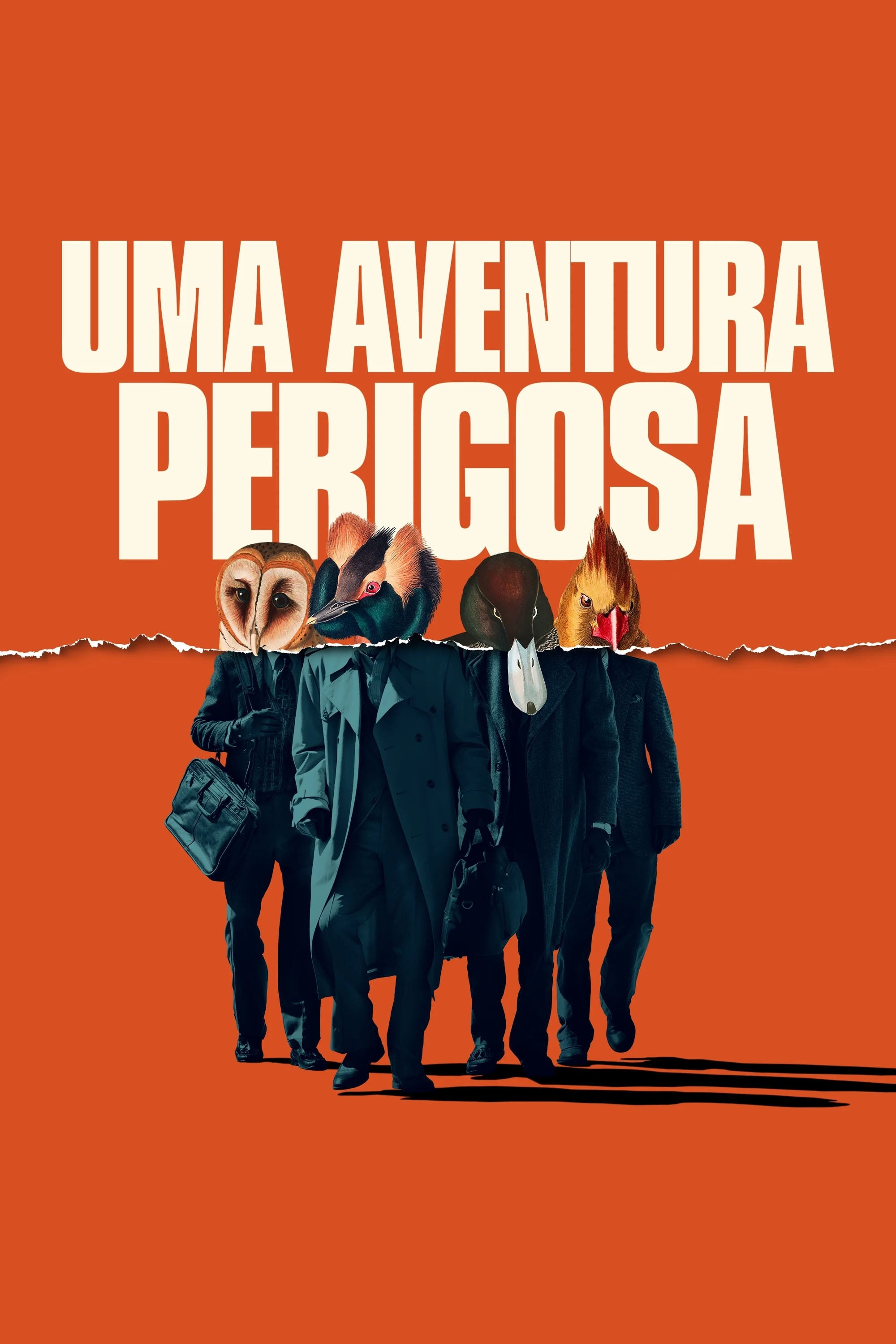 Poster de Uma Aventura Perigosa