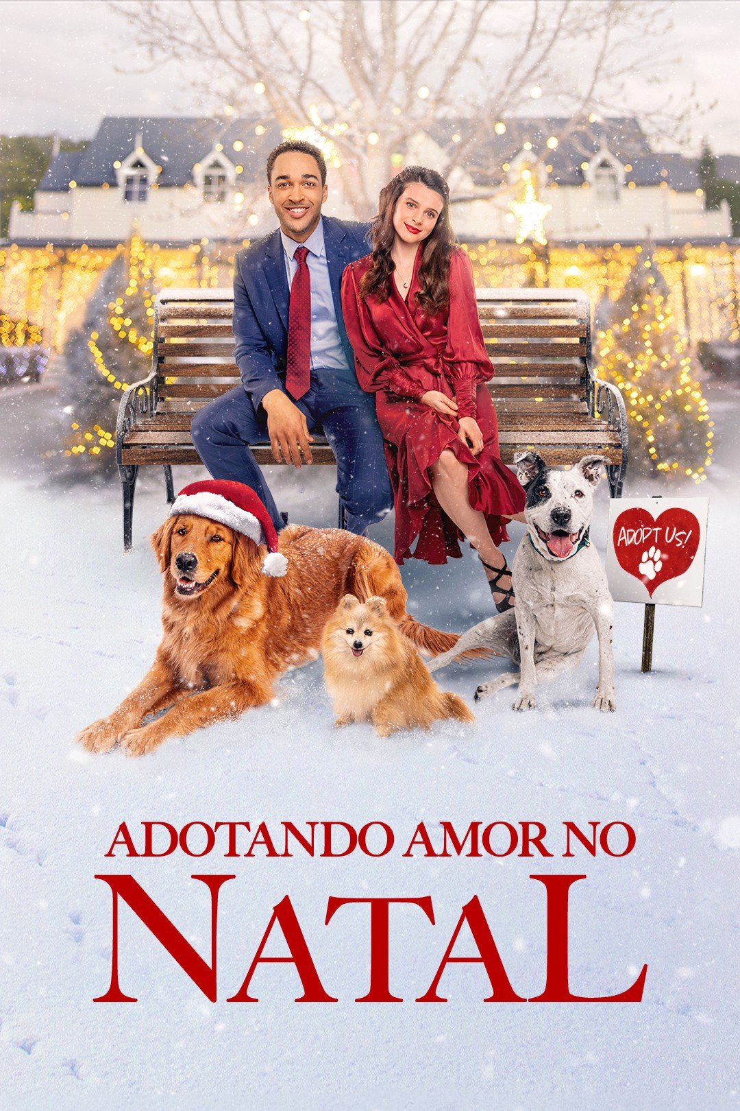 Poster de Adotando Amor no Natal
