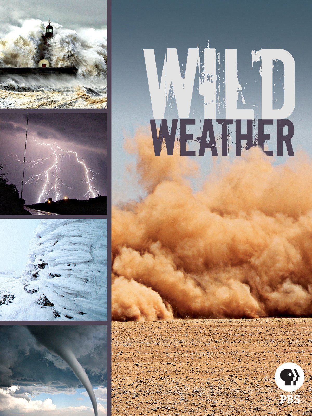 Poster de Wild Weather