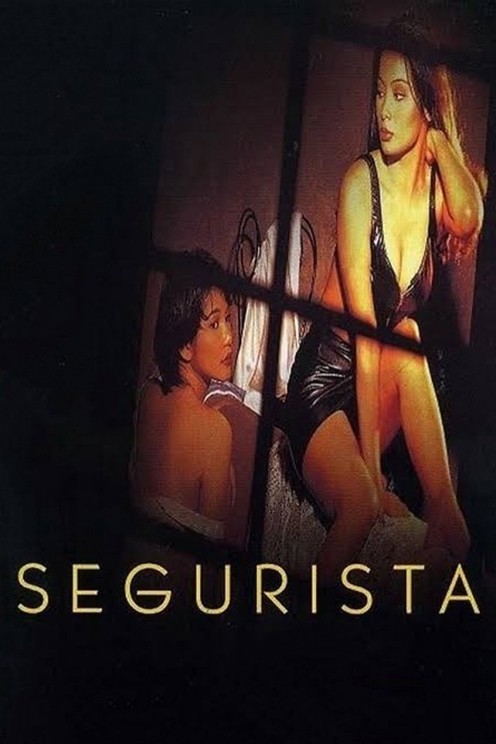 Poster de Segurista