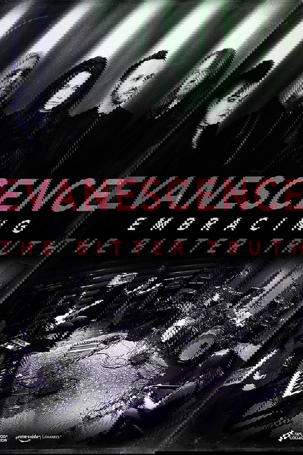 Poster de Evanescence: Embracing the Bitter Truth