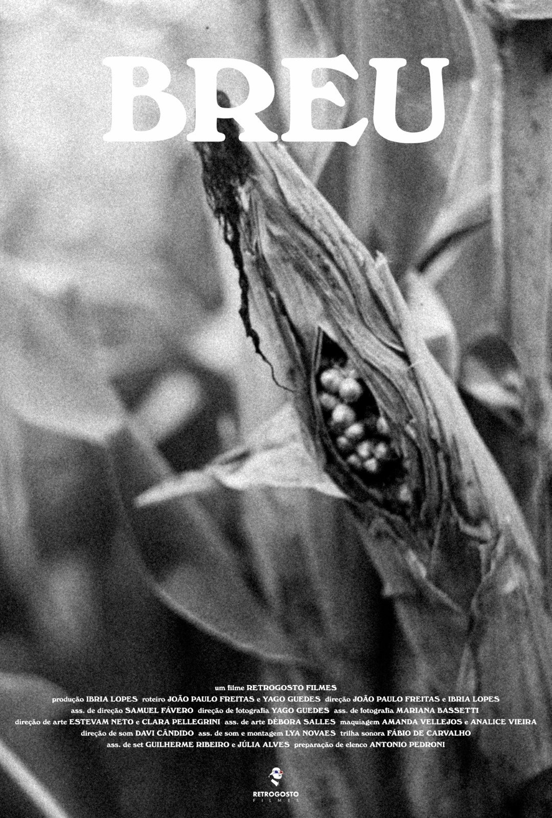 Poster de Breu