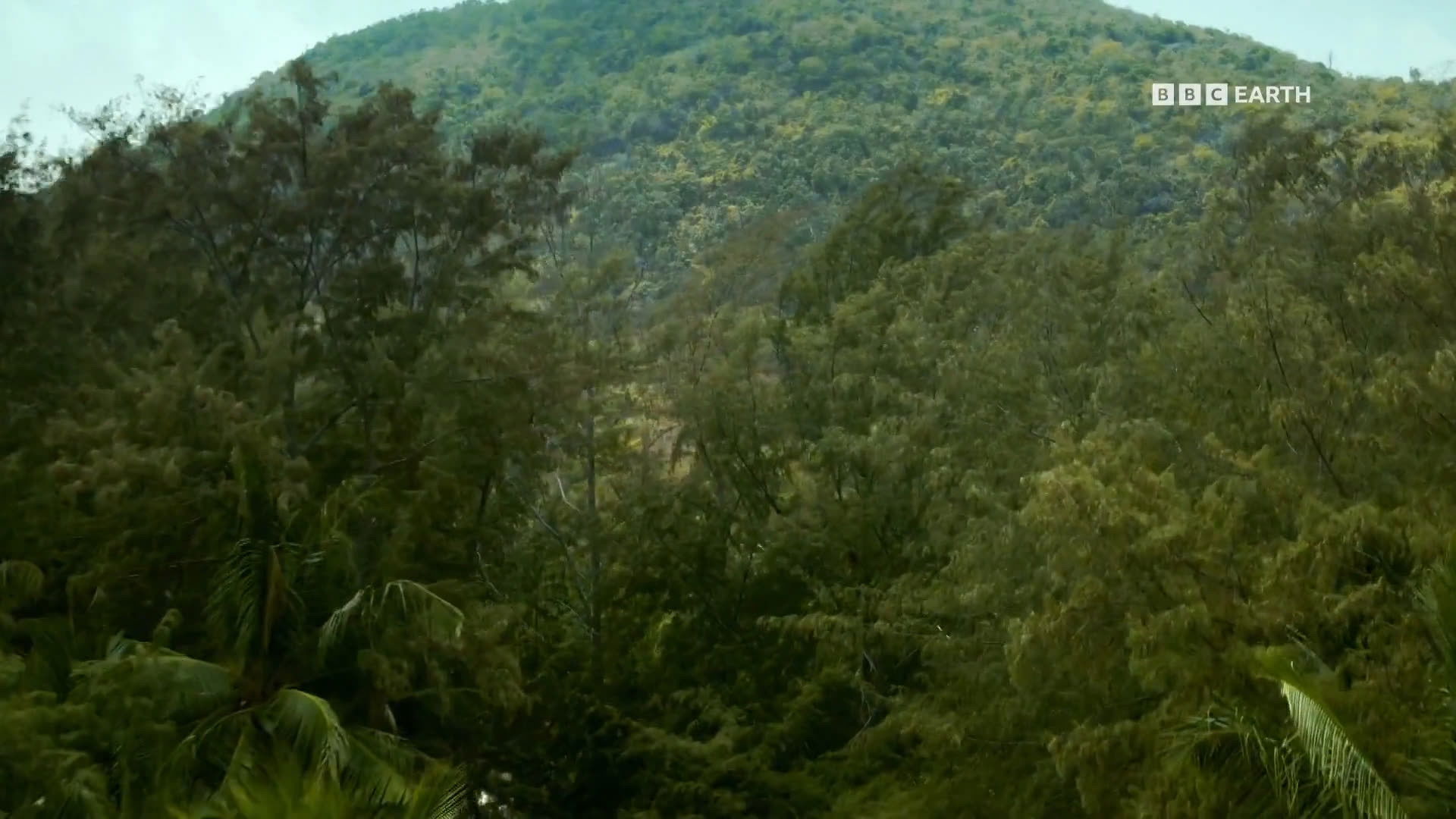 A Forgotten And Rarely Seen Wilderness