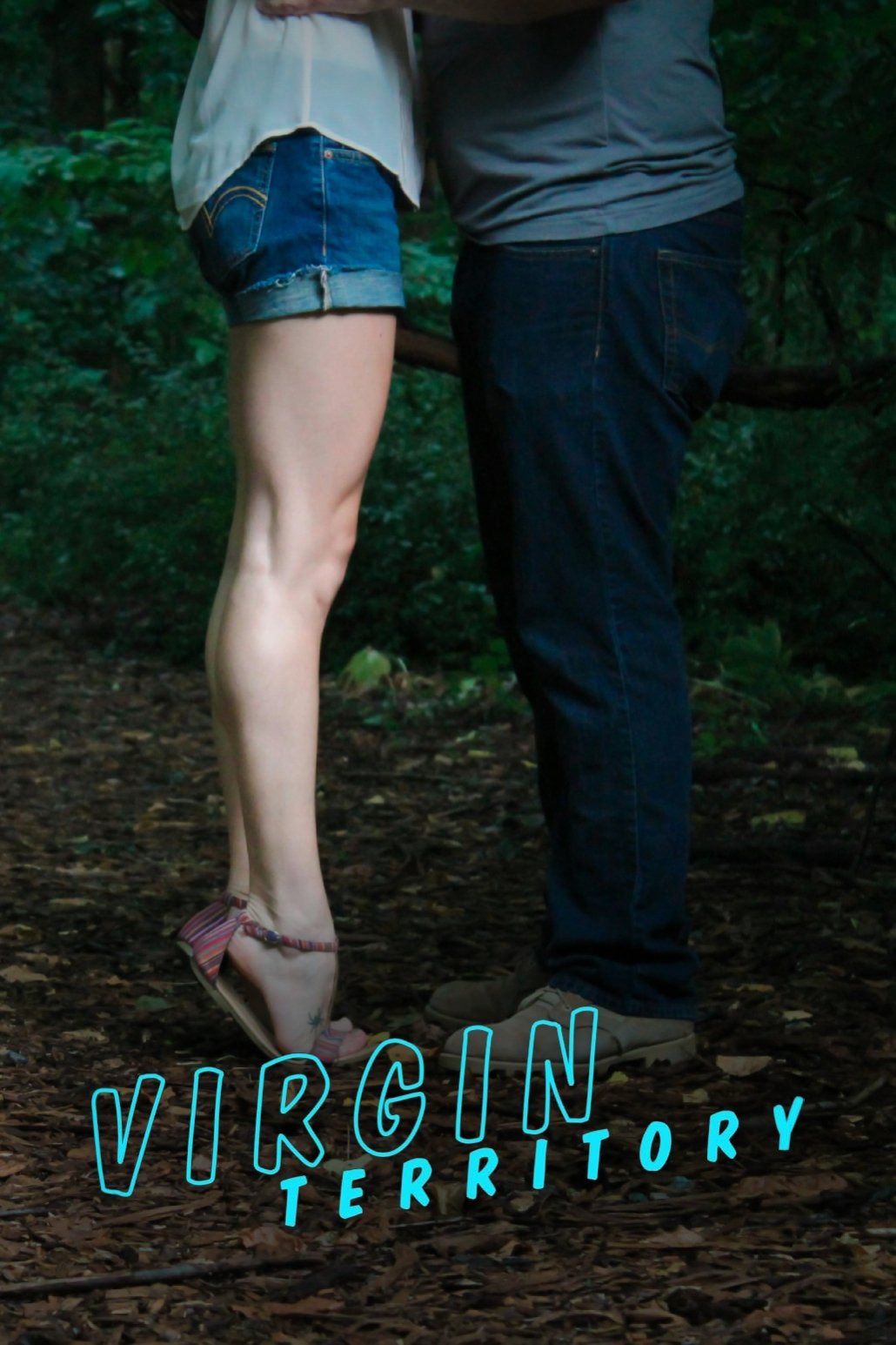 Poster de Virgin Territory