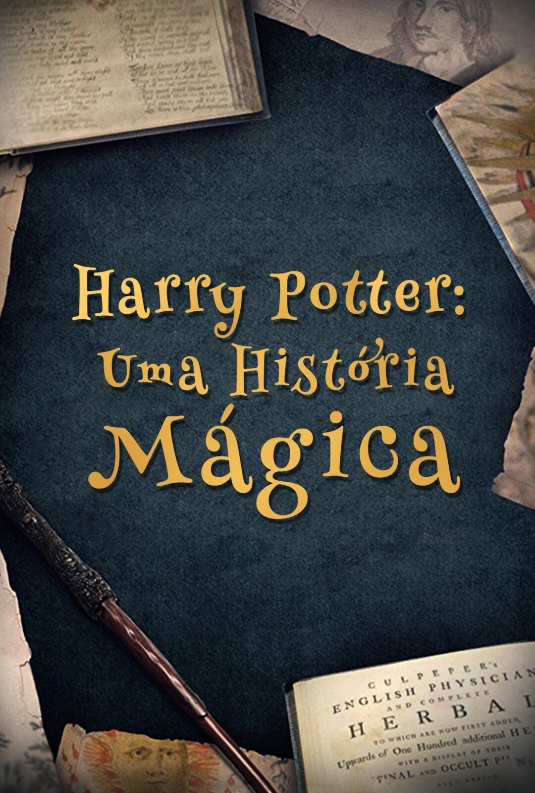 Poster de Harry Potter: Uma História da Magia