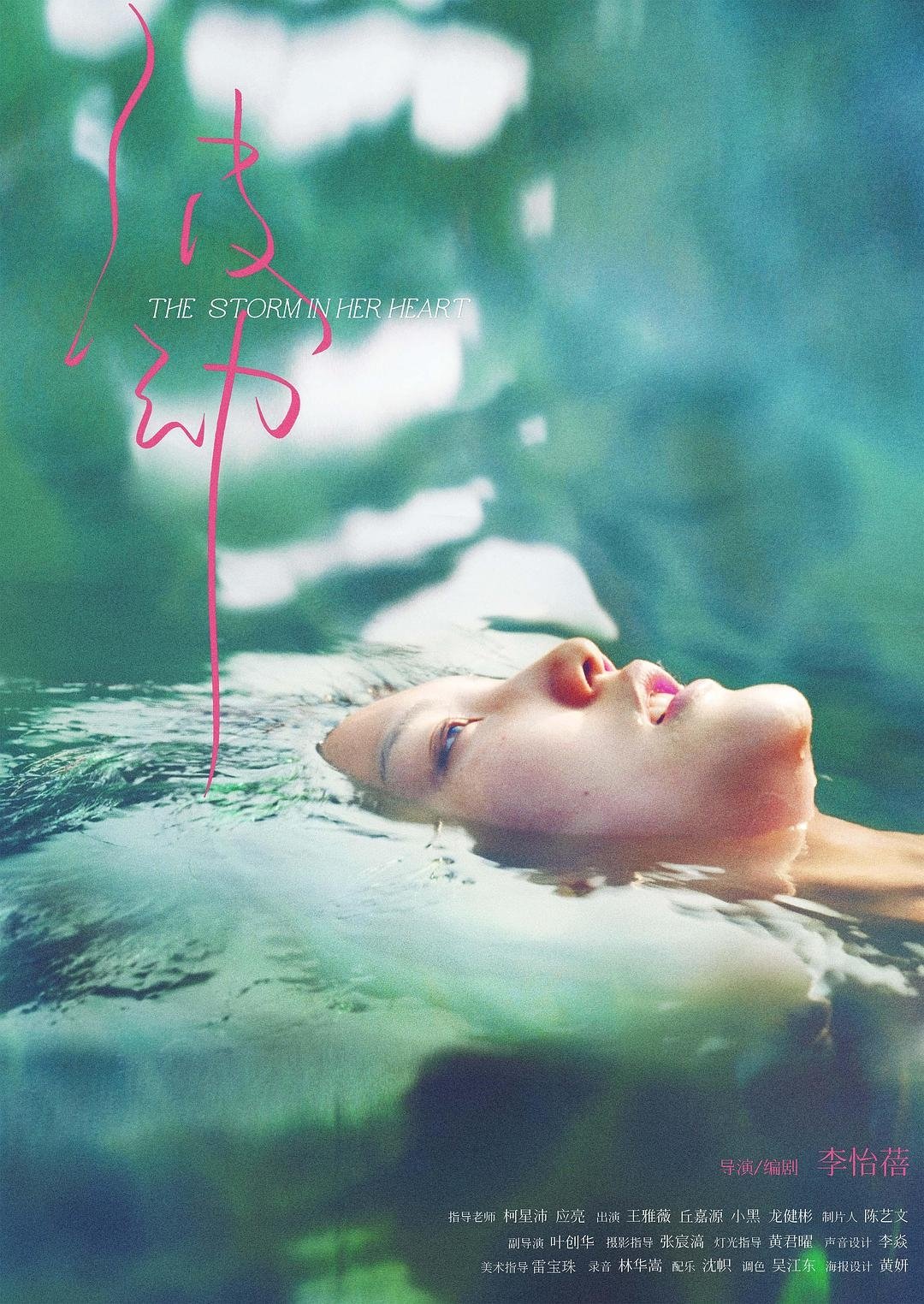 Poster de 波动