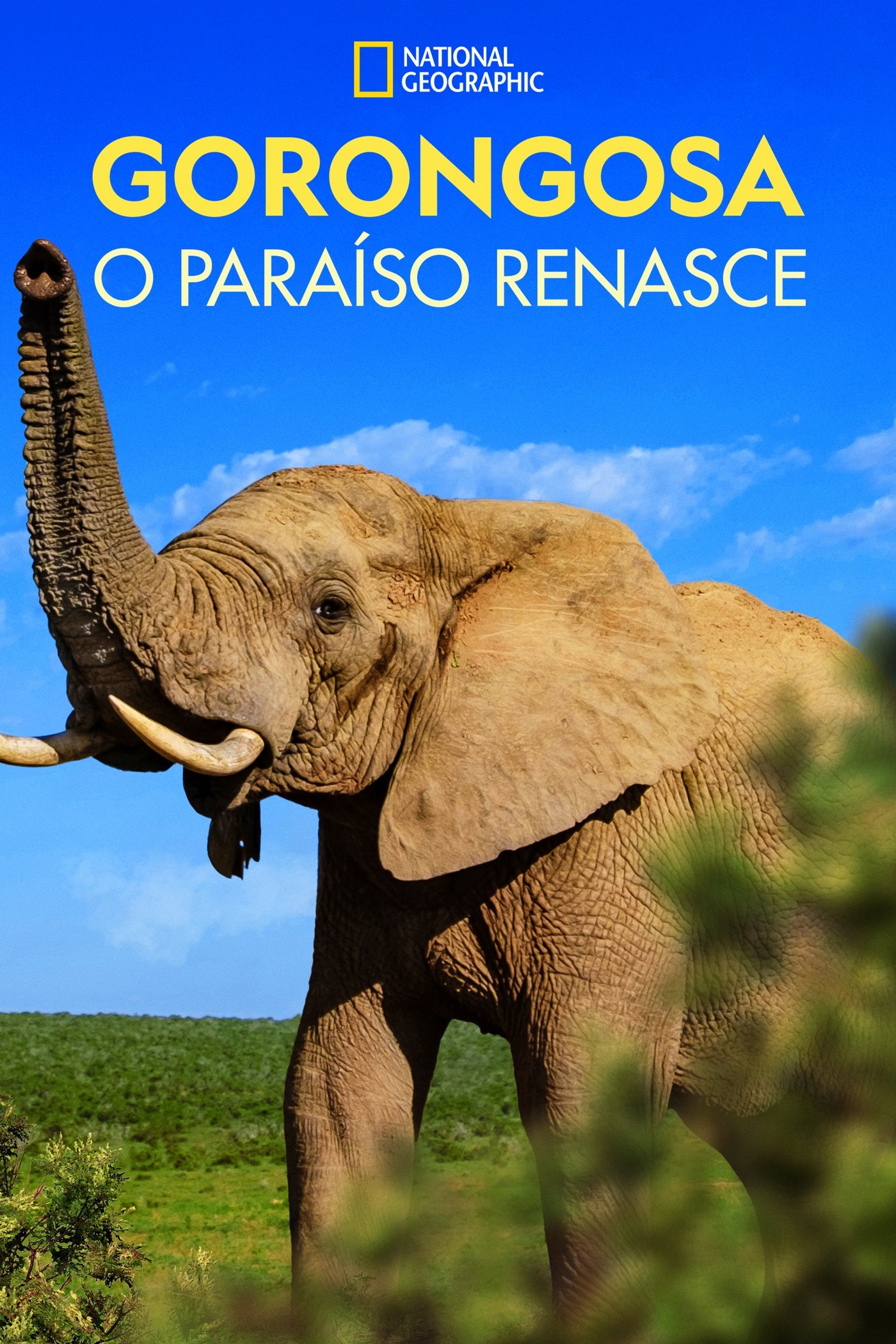 Poster de Gorongosa: O Paraíso Renasce
