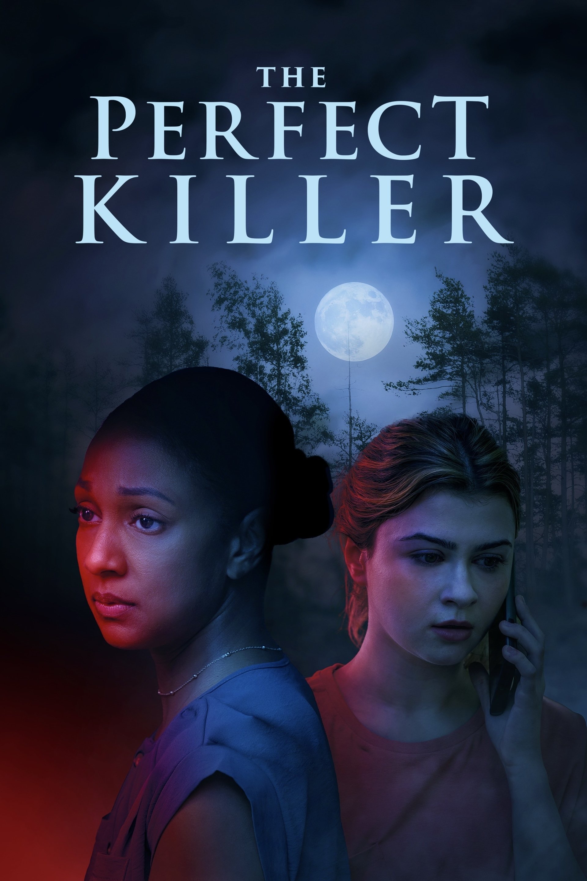 Poster de The Perfect Killer