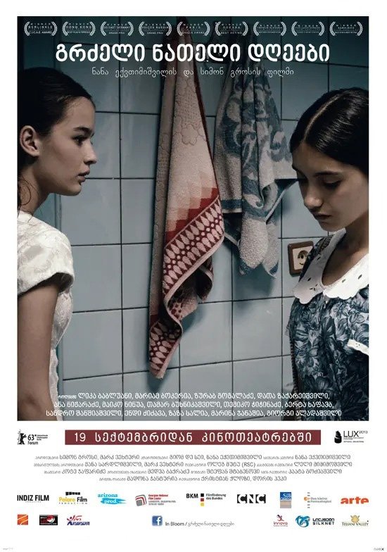 Poster de გრძელი ნათელი დღეები