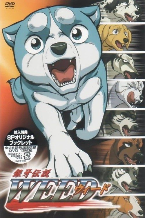 Poster de Temporada 1