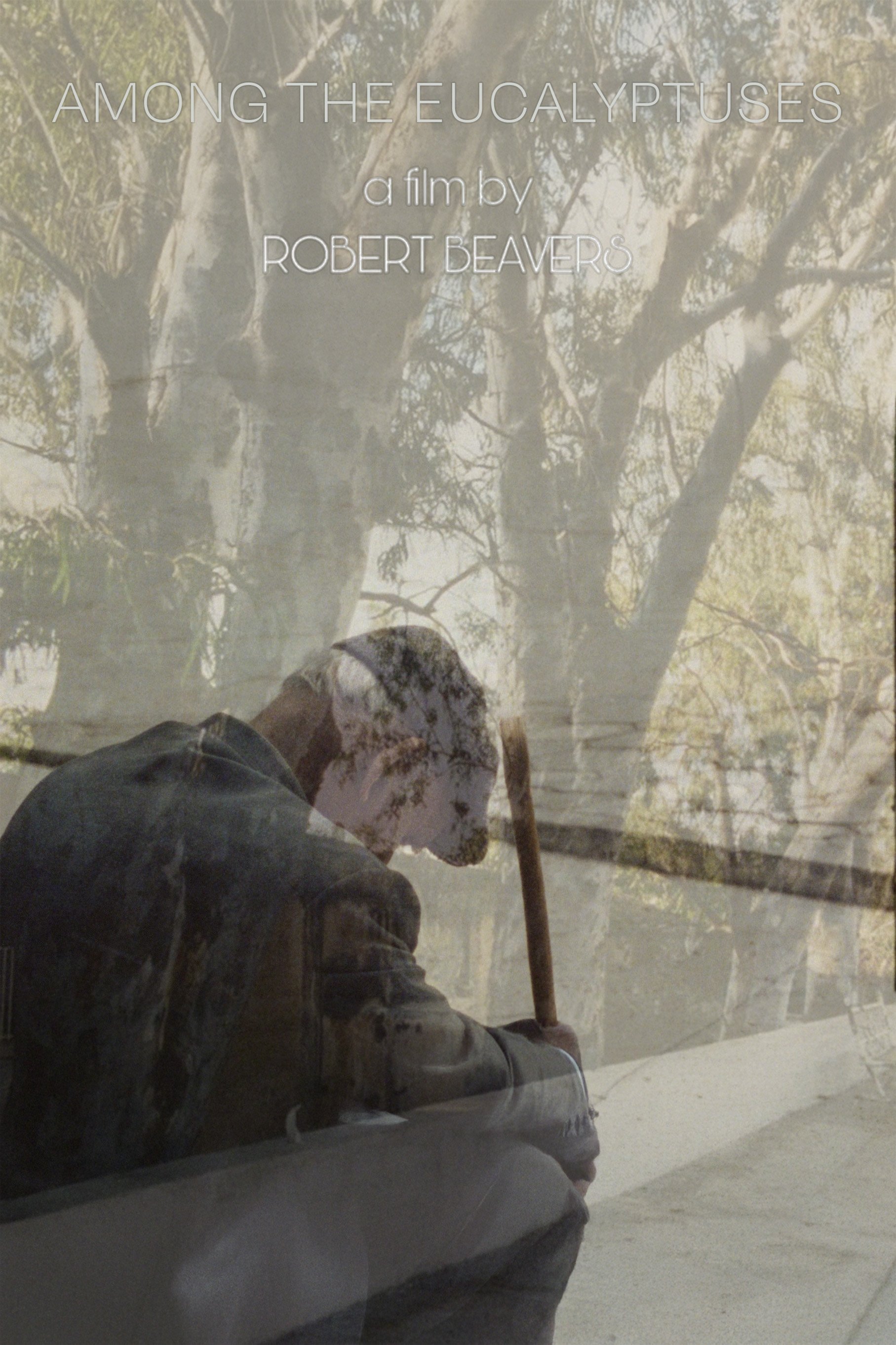 Poster de Among the Eucalyptuses