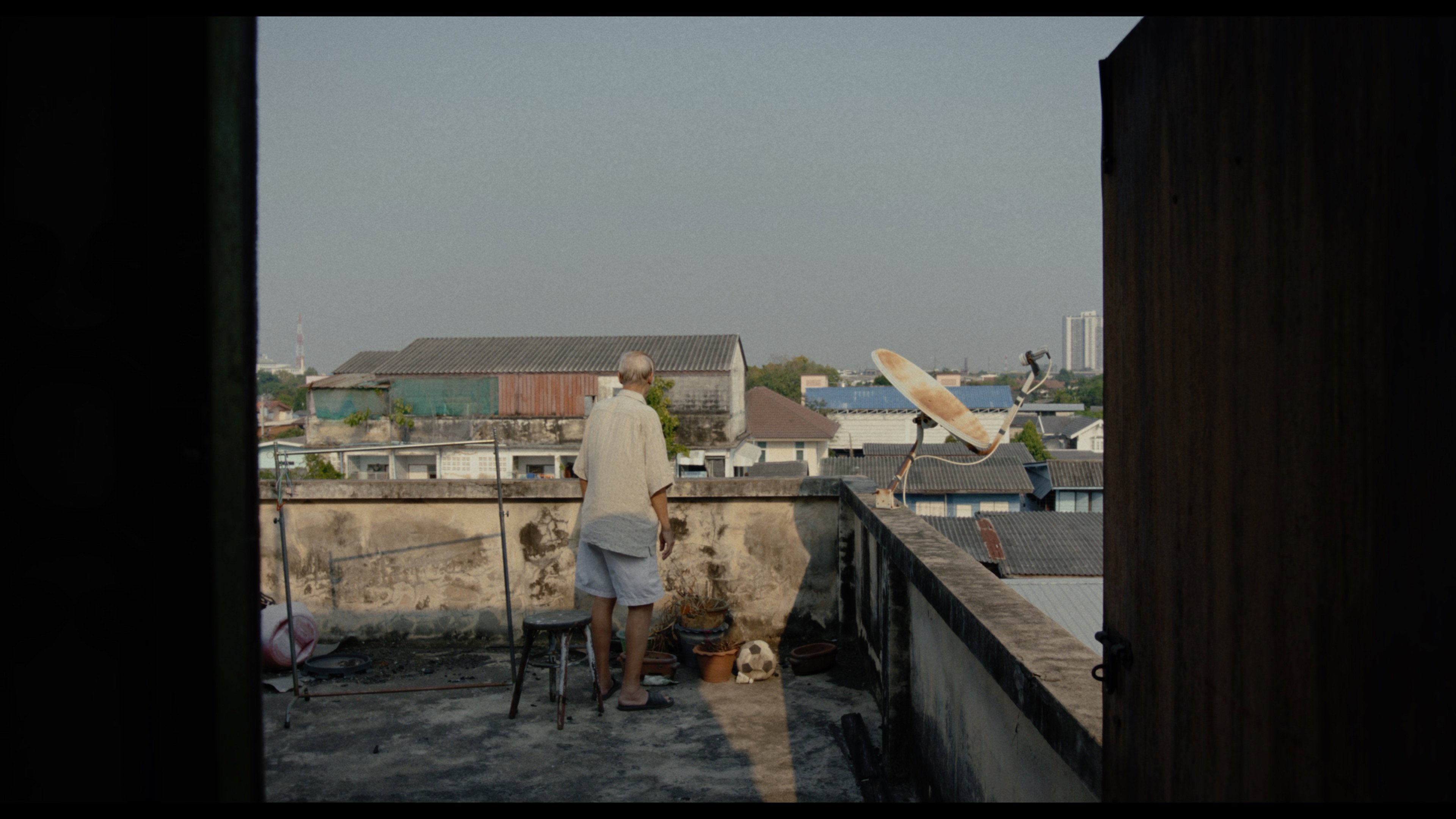 Director