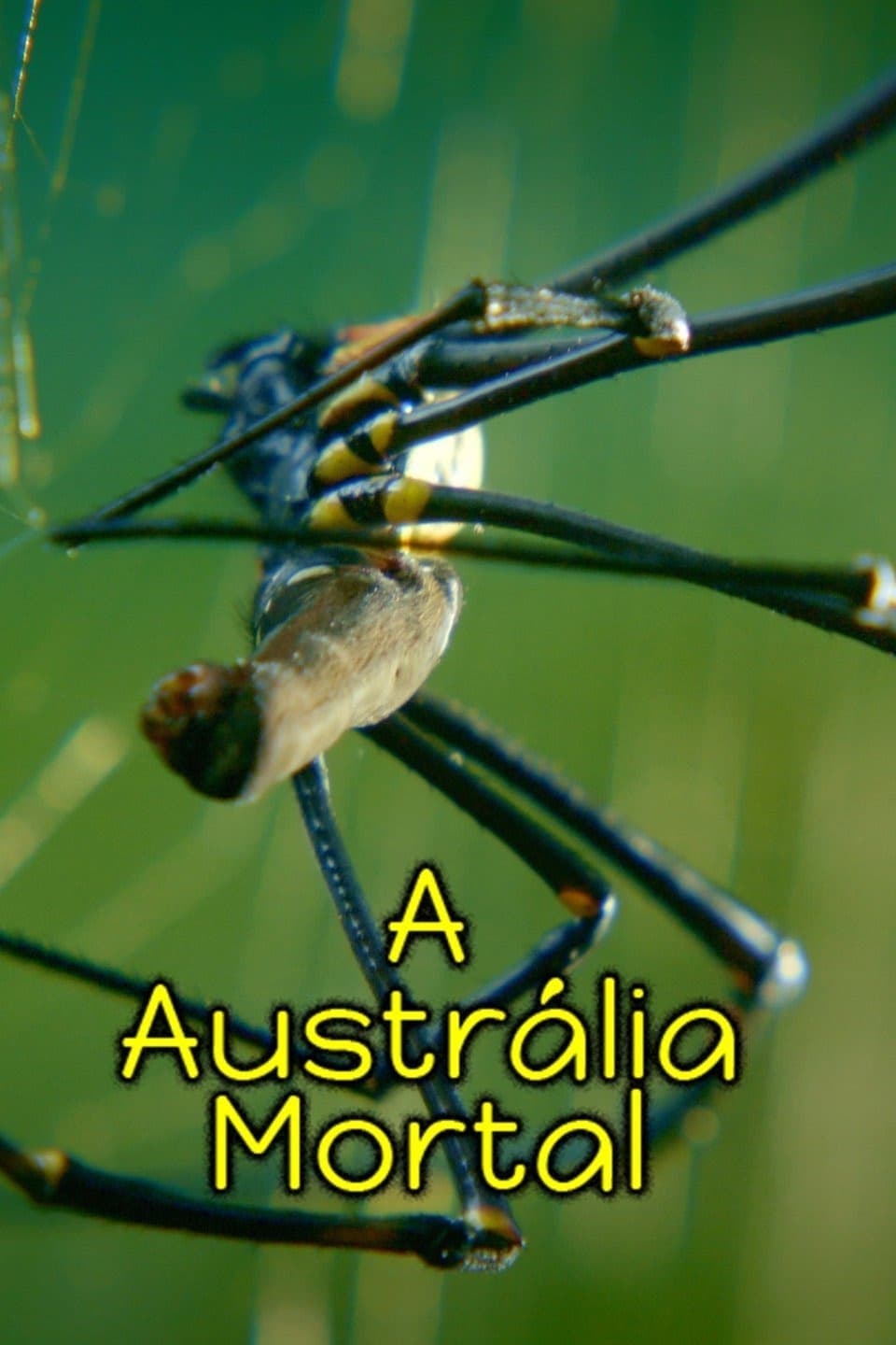 Poster de A Australia Mortal