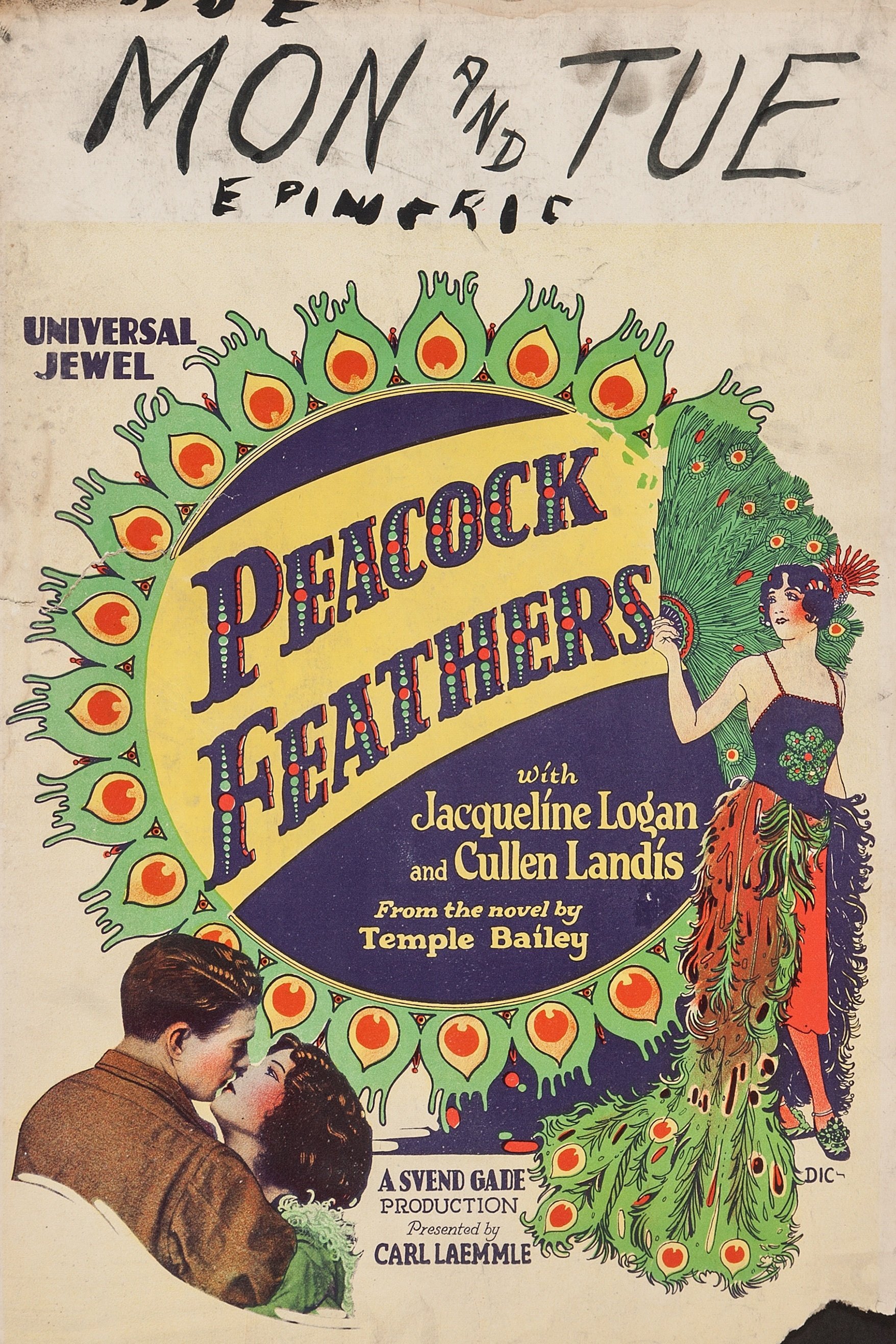 Peacock Feathers Poster