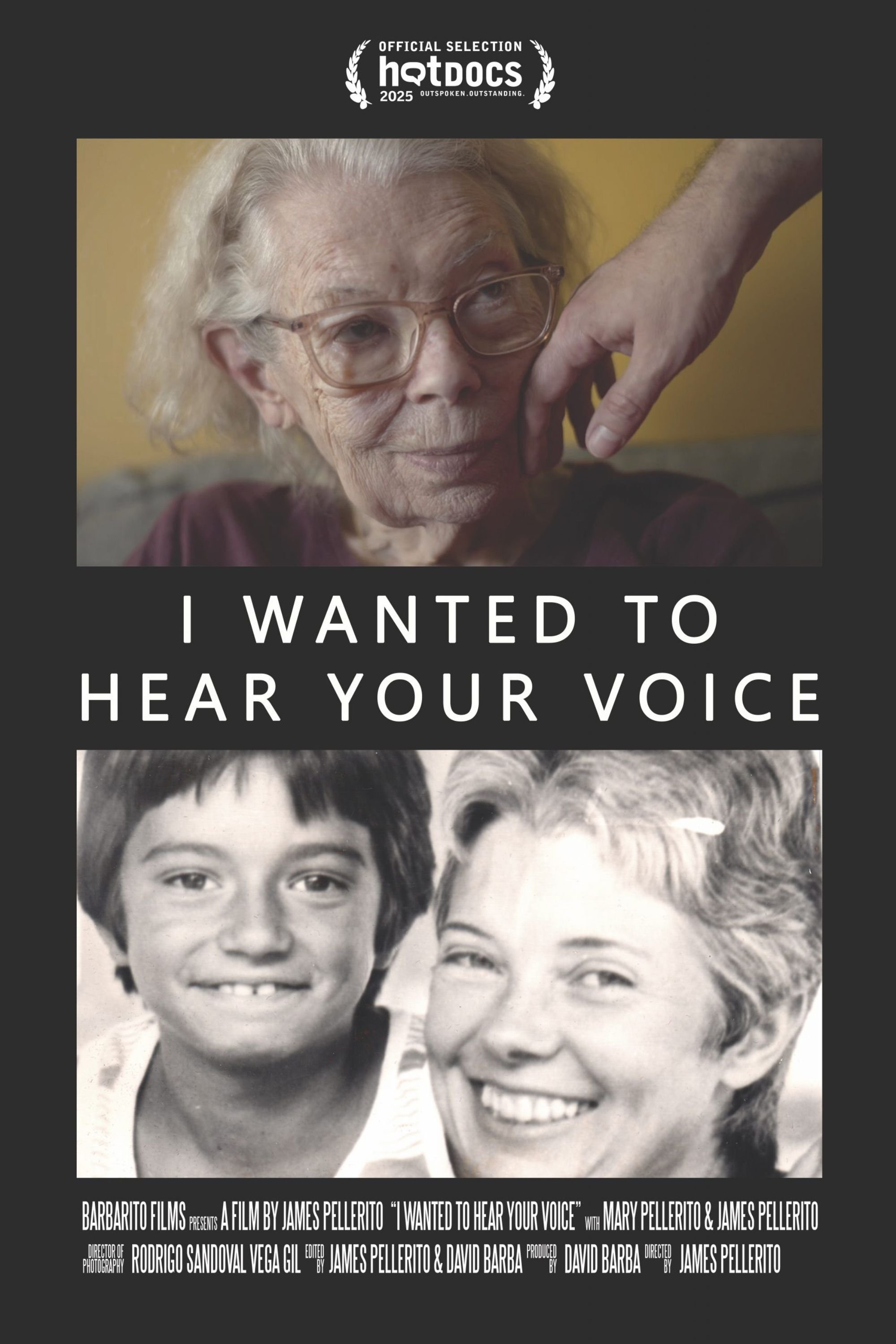 Poster de I Wanted To Hear Your Voice