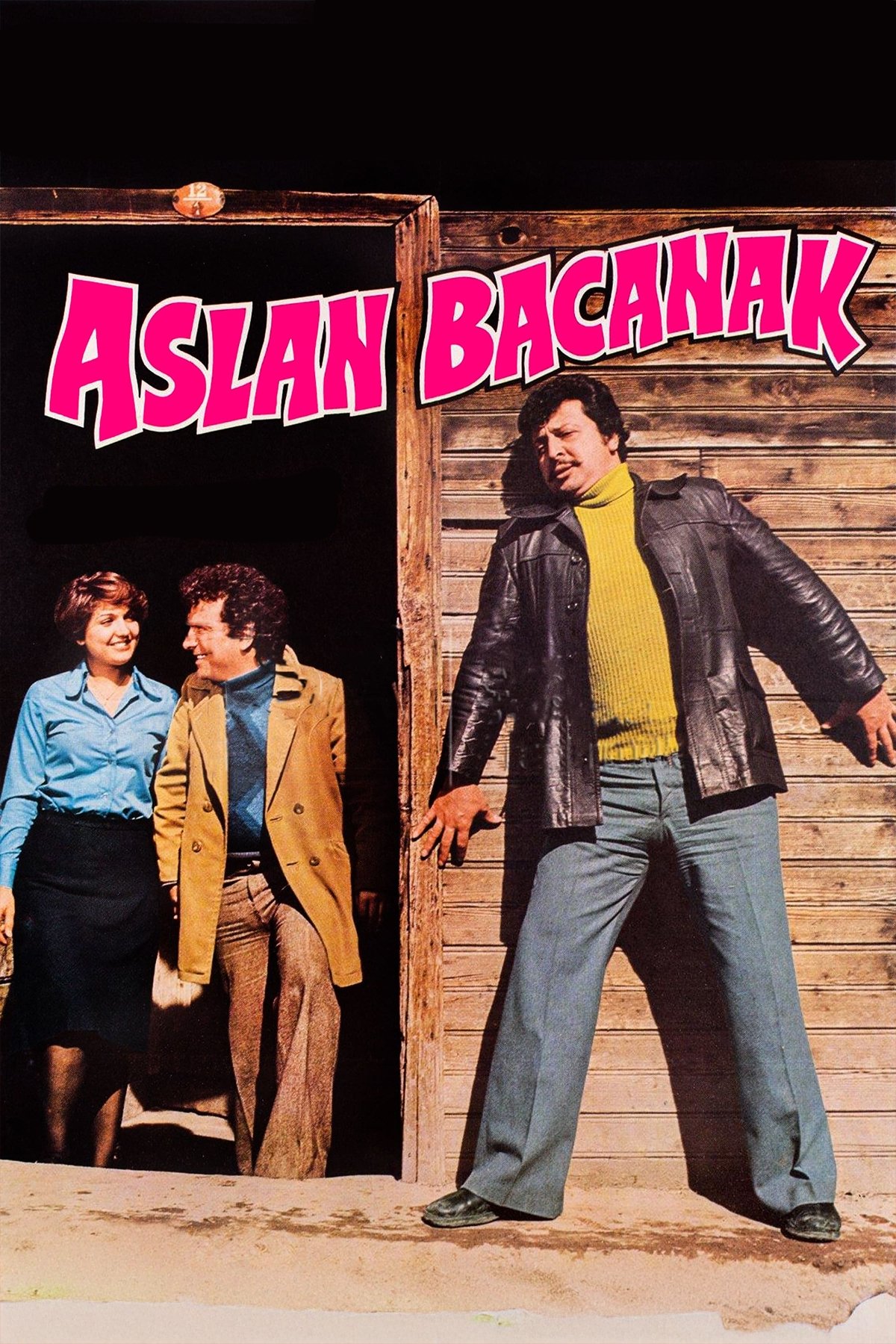 Poster de Aslan Bacanak