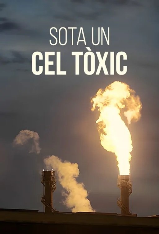Poster de Der giftige Himmel von Tarent: Chronik einer geduldeten Umwelt-Katastrophe
