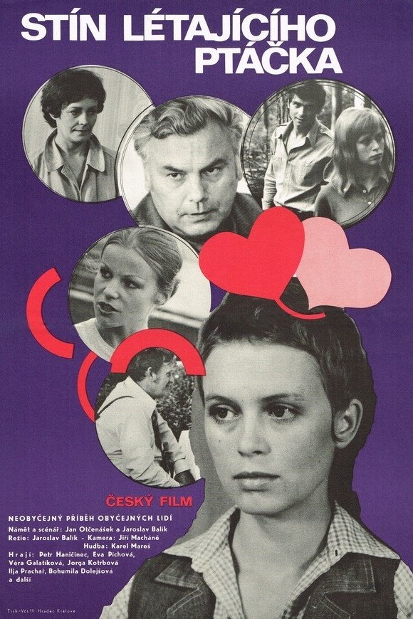 Affiche du film Stín létajícího ptáčka