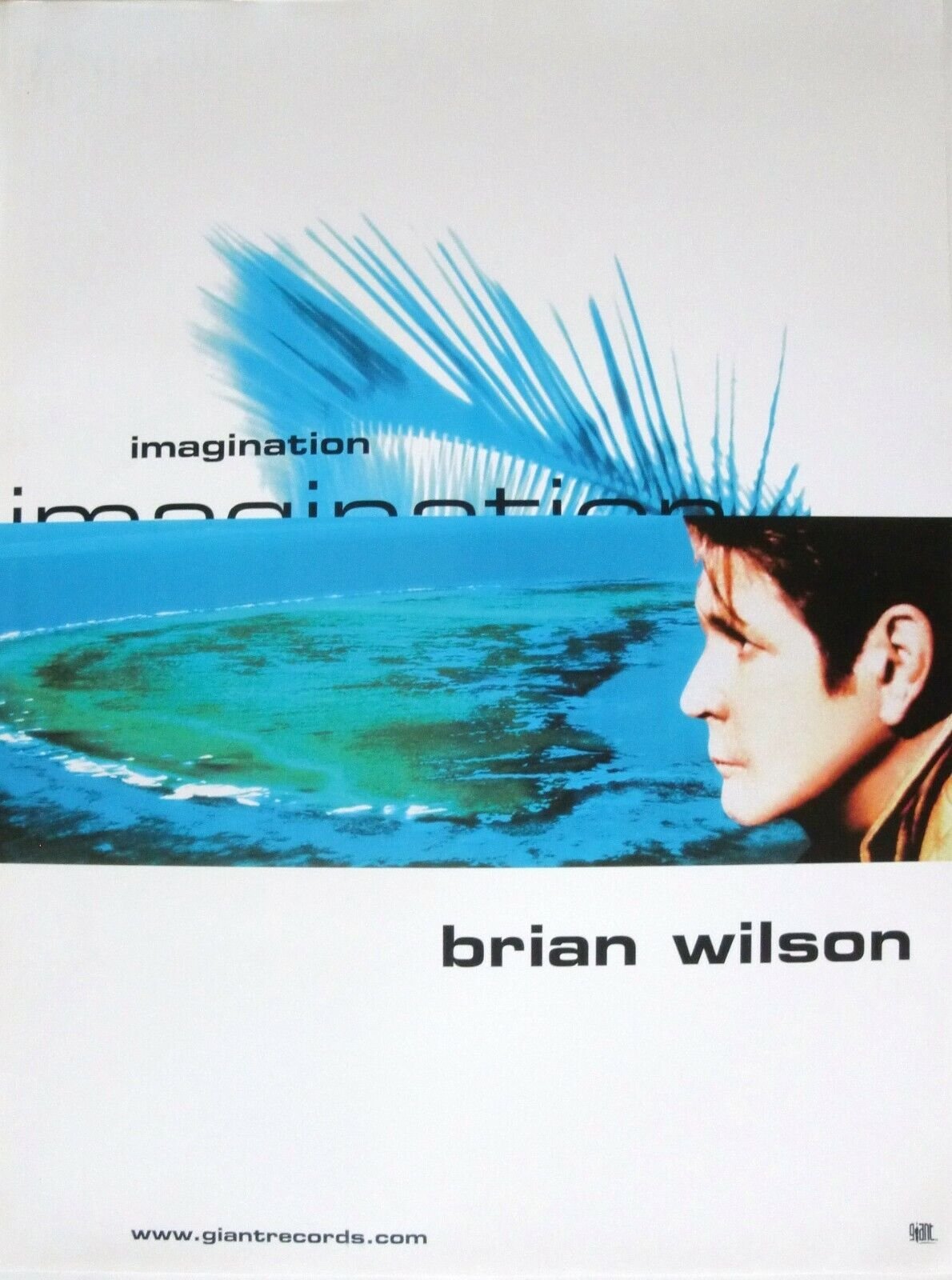 Affiche du film Brian Wilson’s Imagination
