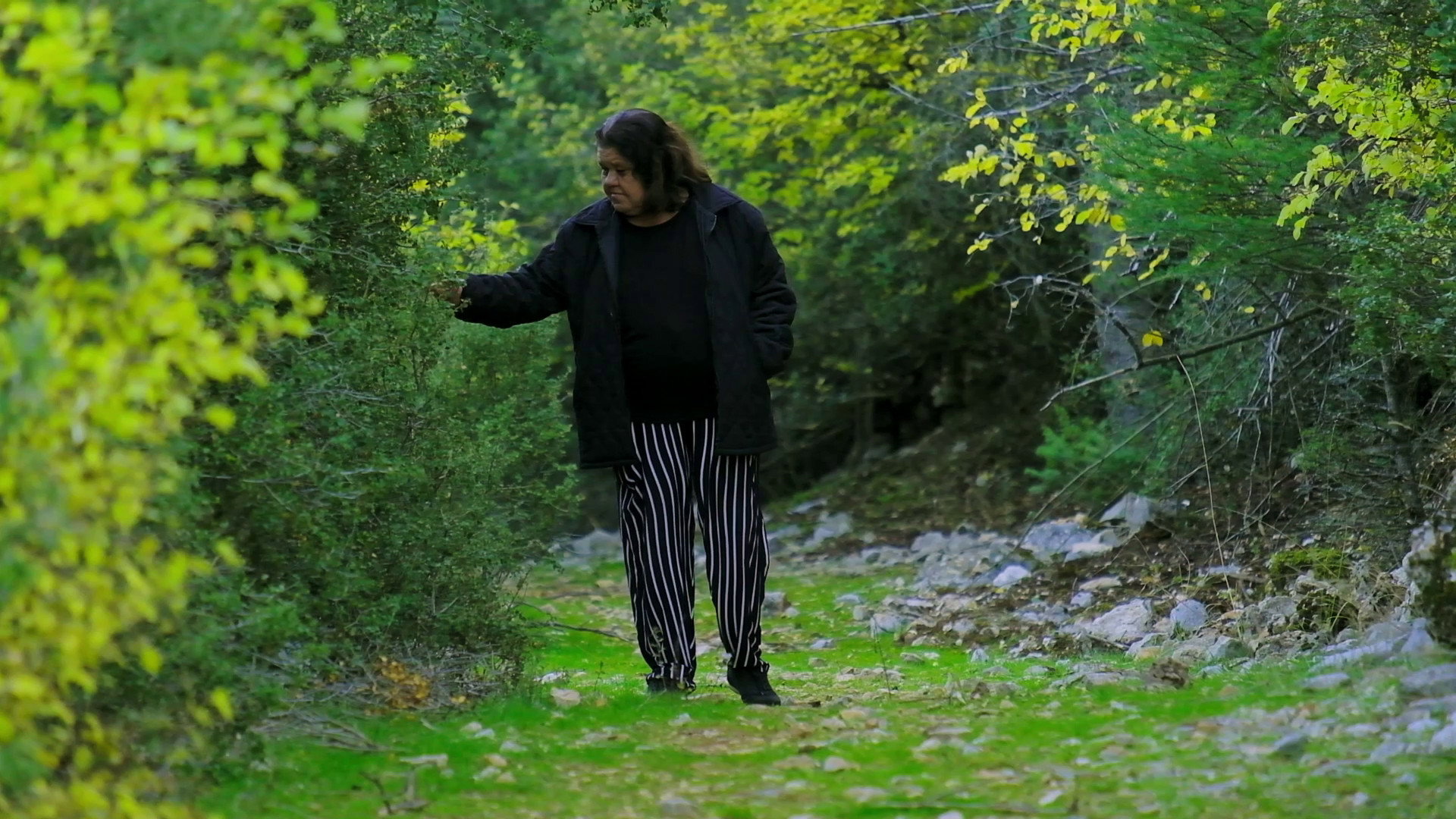 Director