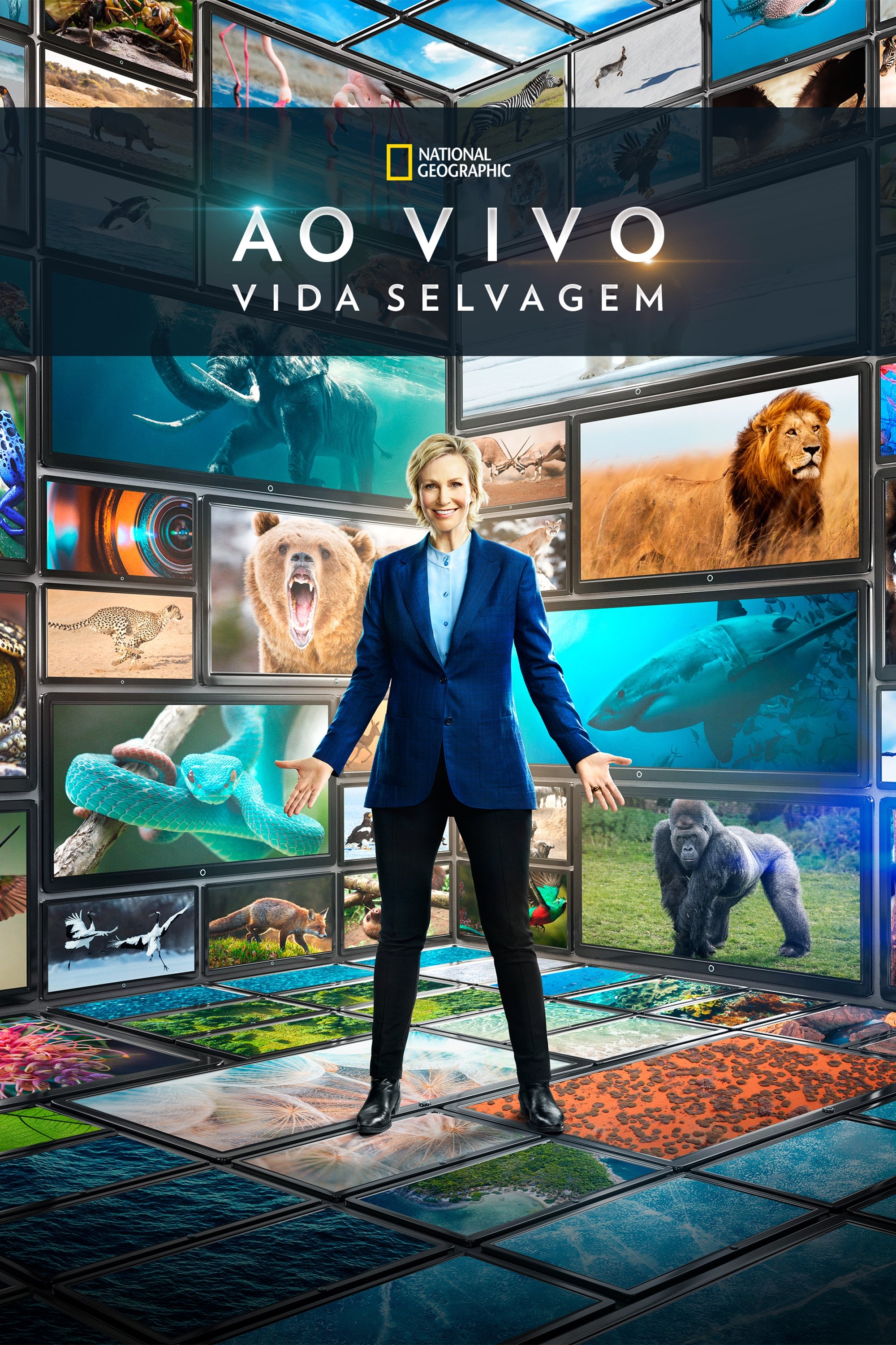 Poster de Ao Vivo: Vida Selvagem