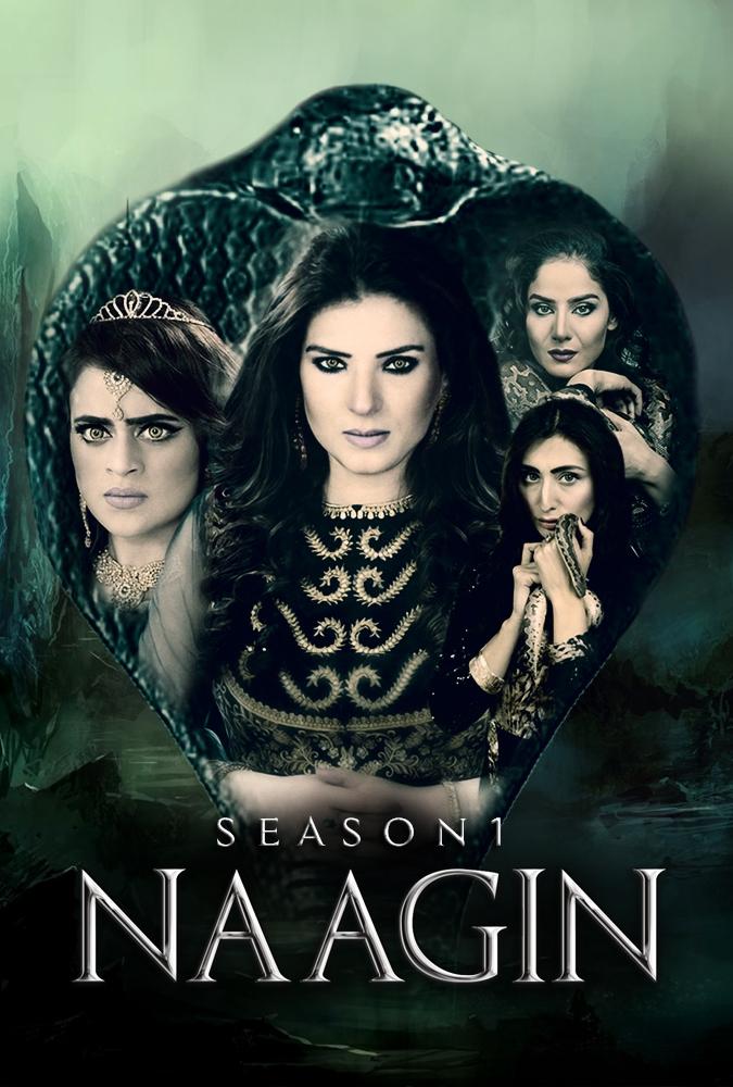 Poster for Naagin
