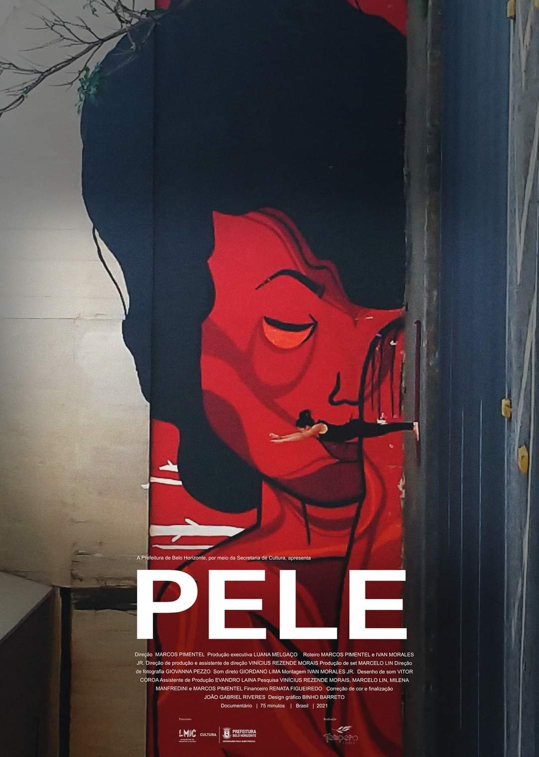 Poster de Pele