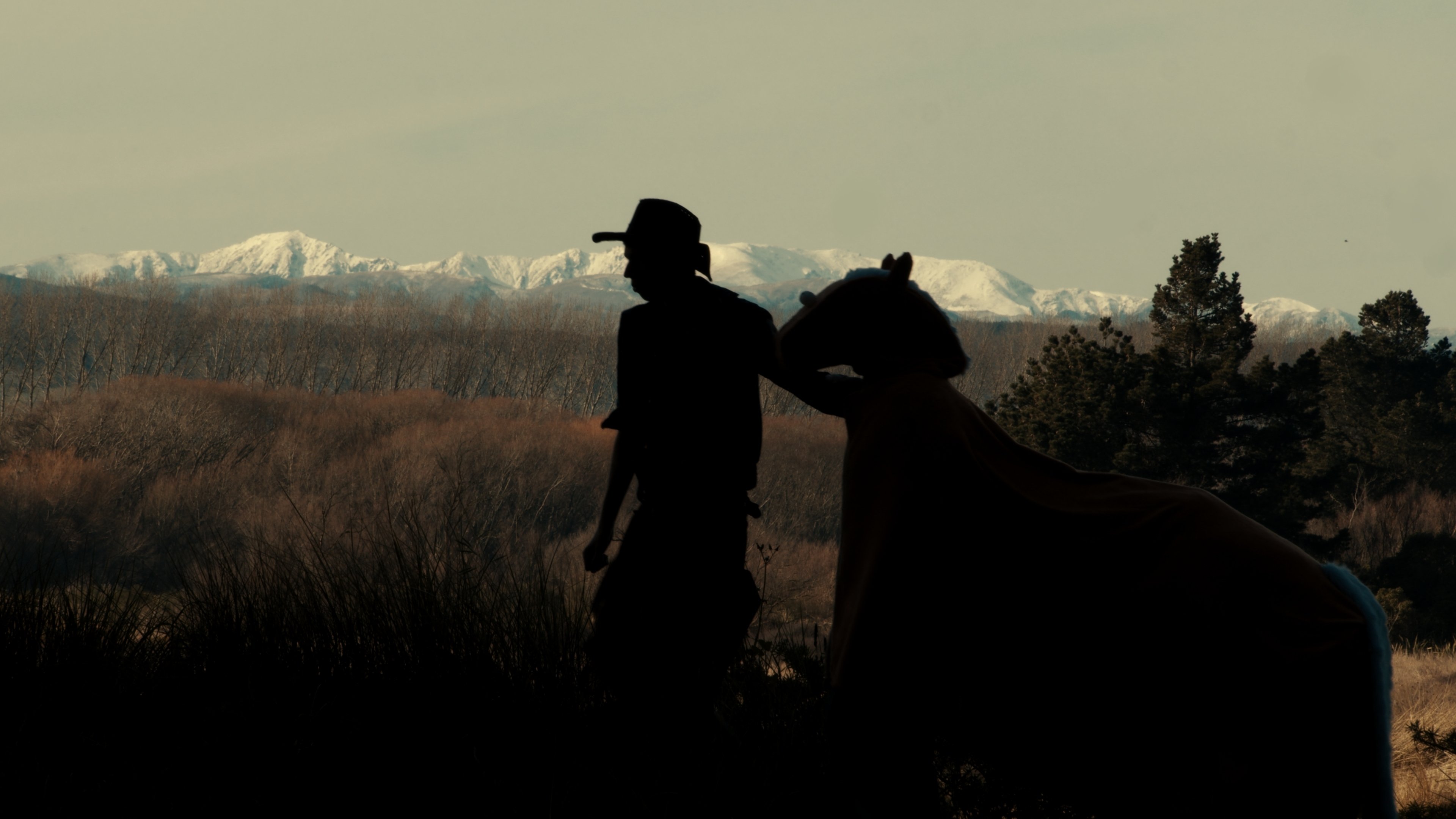 Backdrop