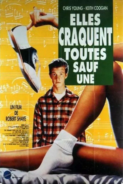 Affiche du film Elles craquent toutes sauf une