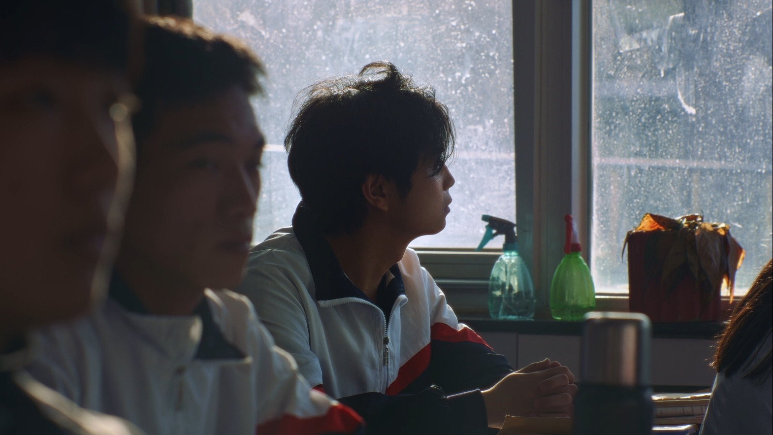 Director