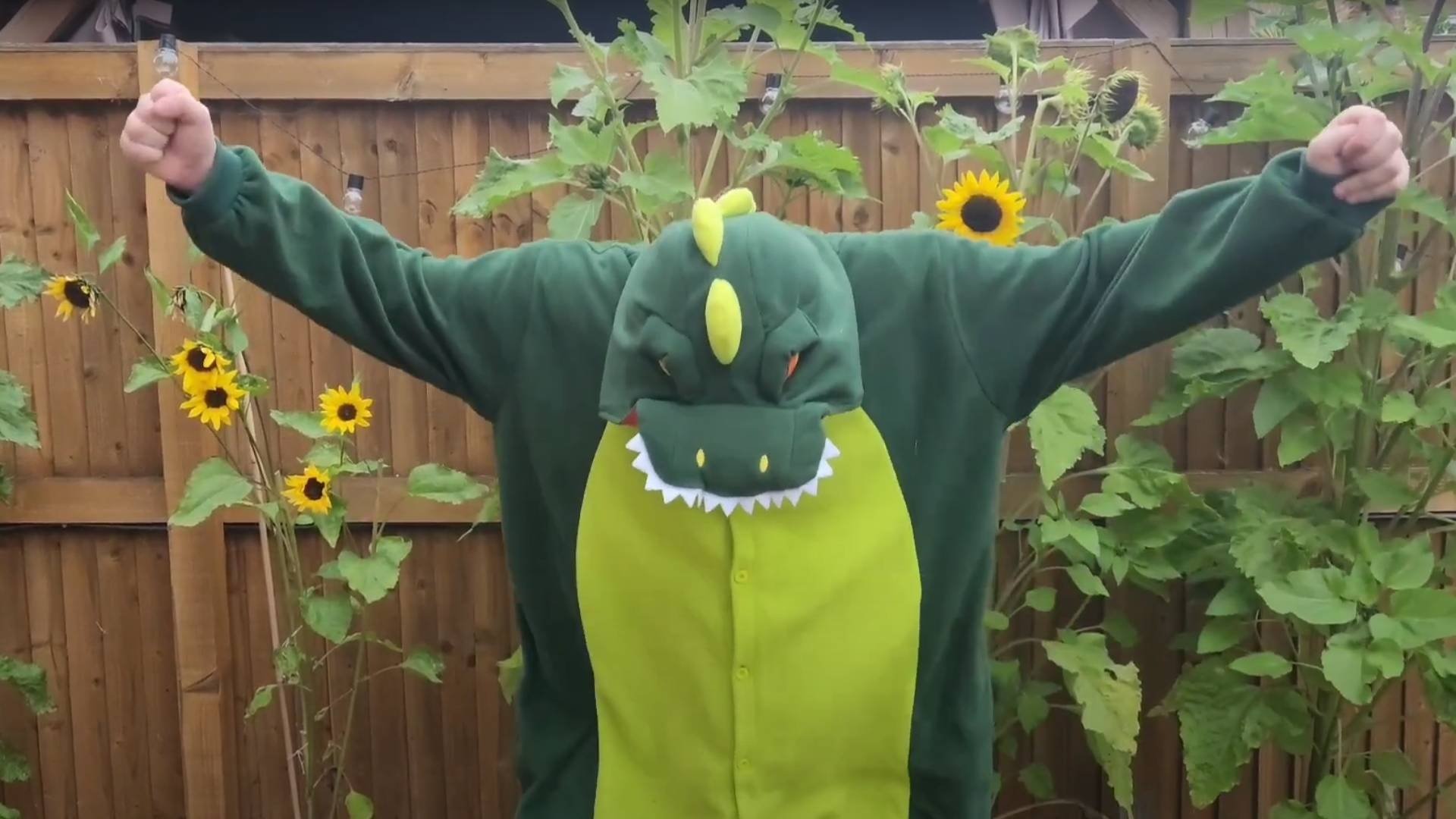Dino-House