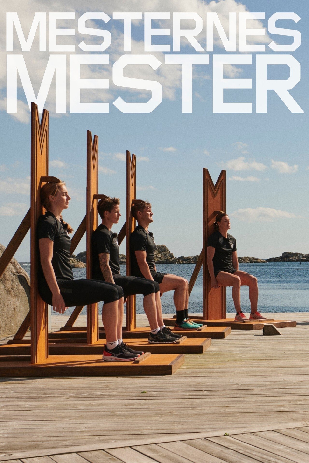 Poster de Temporada 13