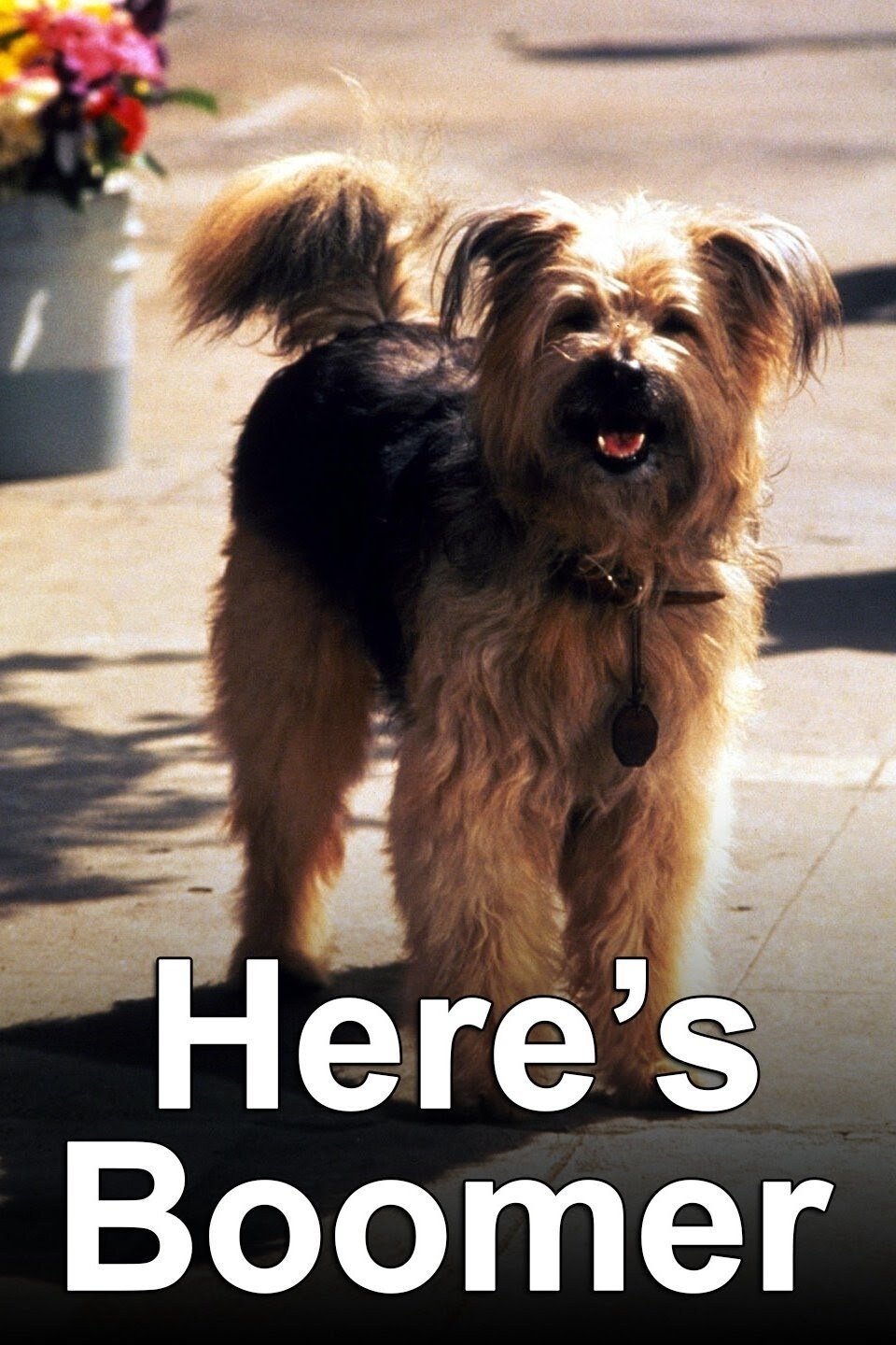 Poster de Here's Boomer
