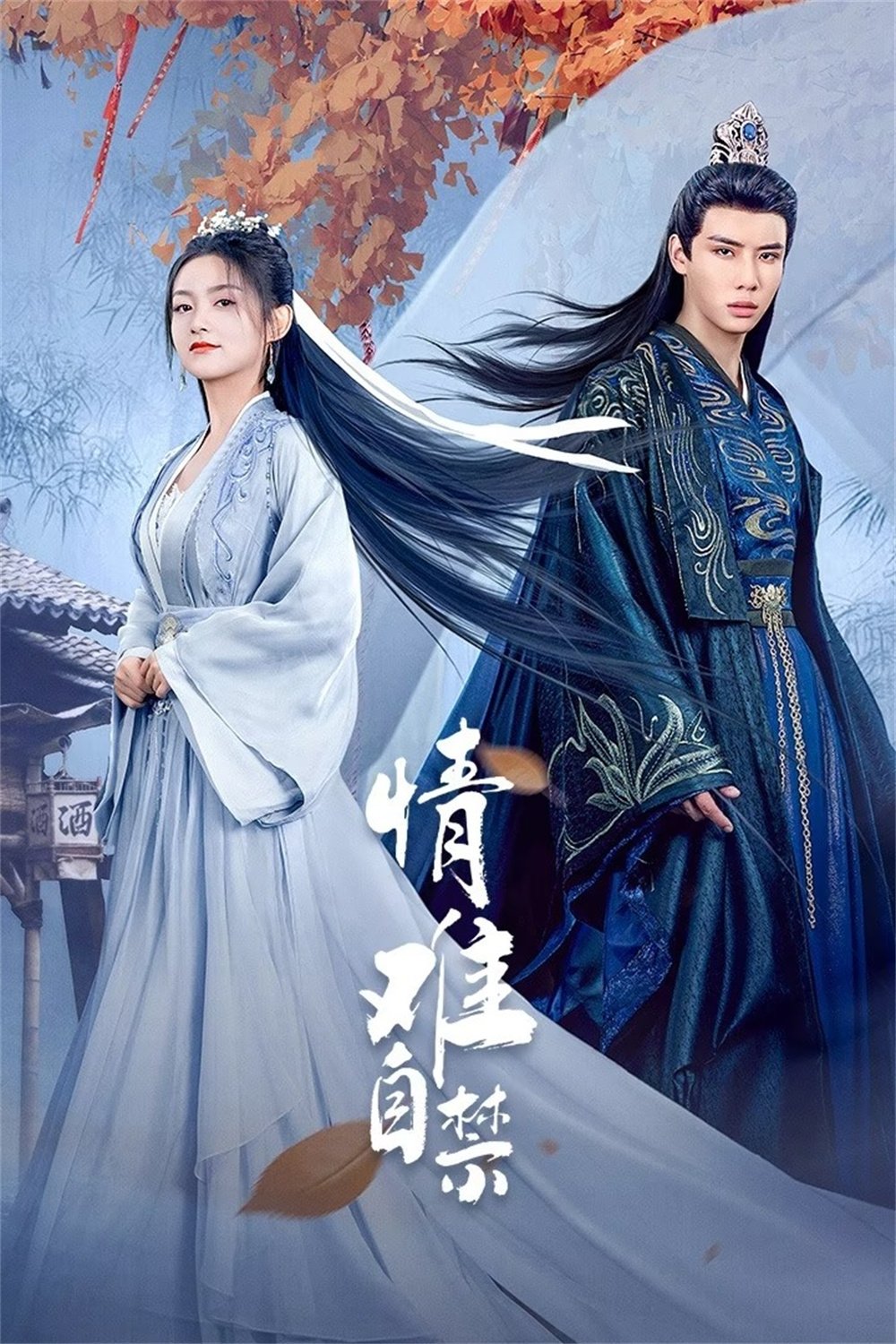 Poster de Lost You, Found You