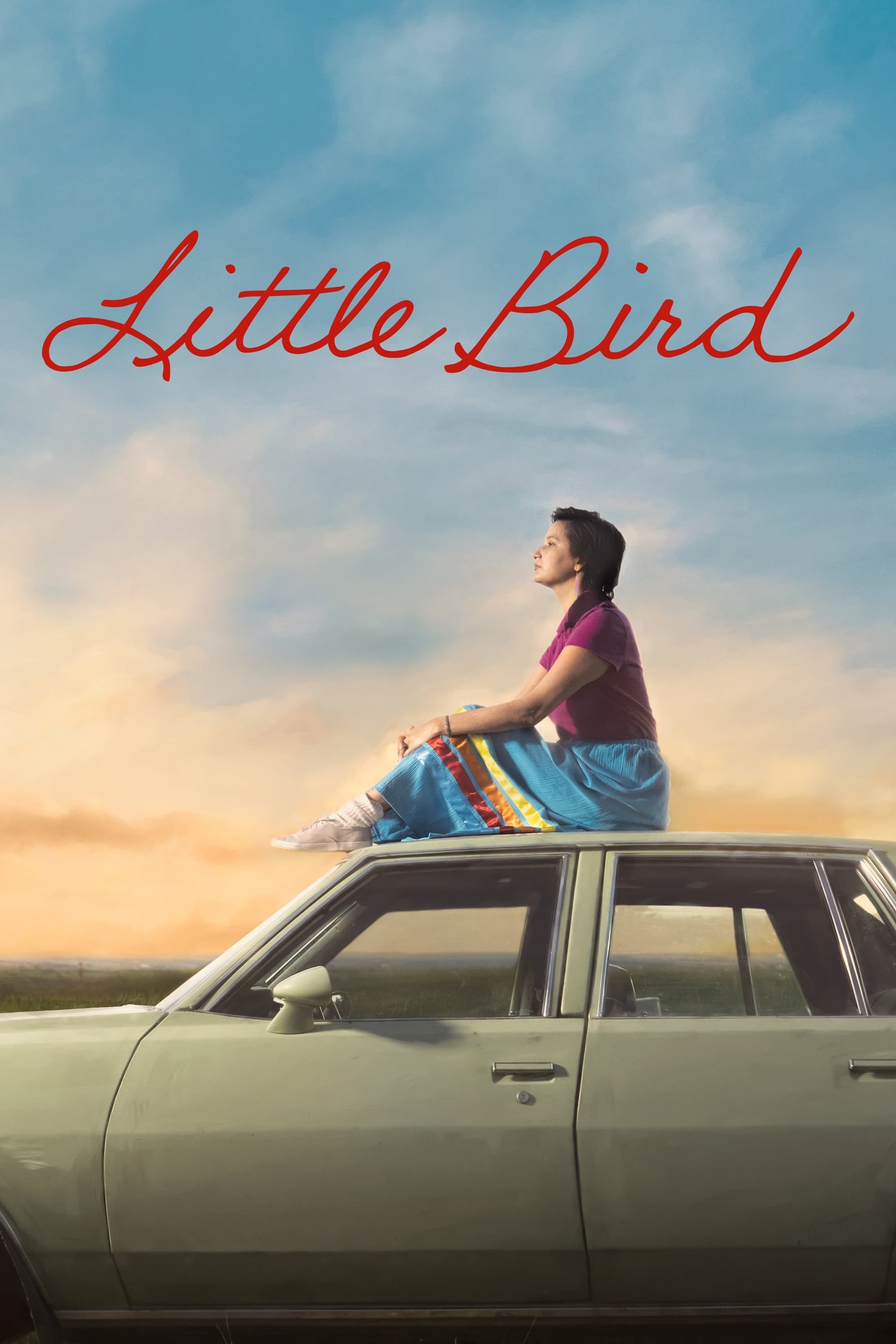 Poster de Little Bird