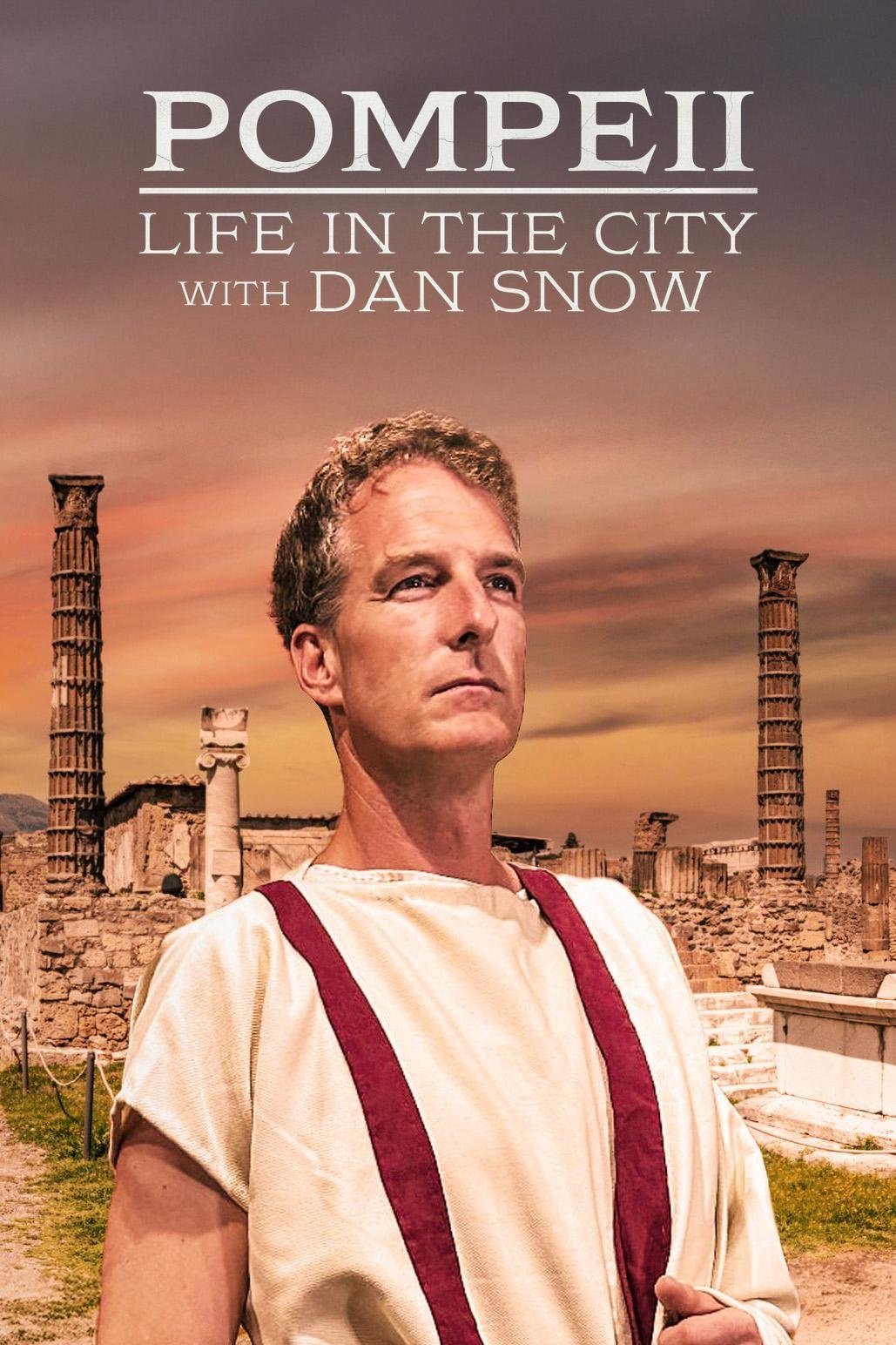 Poster of Pompeii: Life in the City with Dan Snow